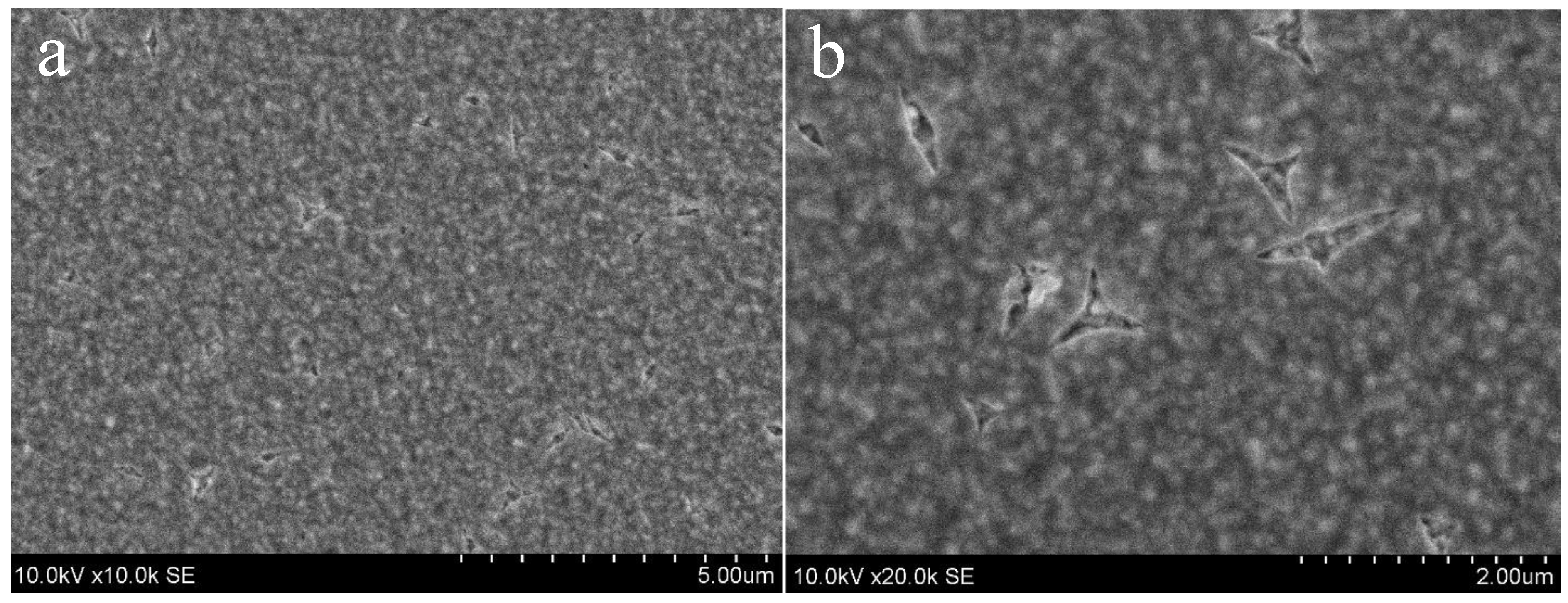 Coatings 14 00088 g005