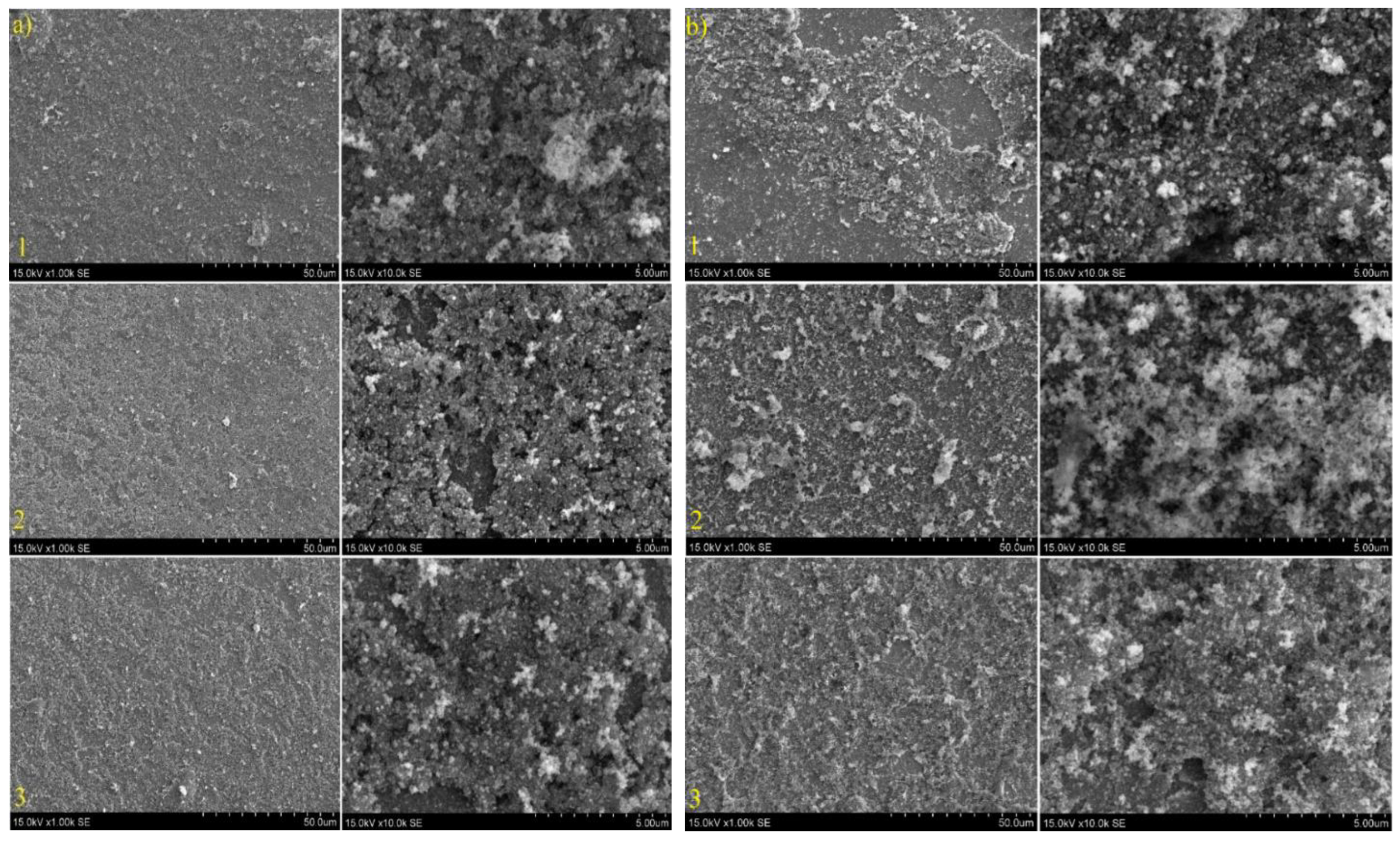 Coatings 14 00088 g011