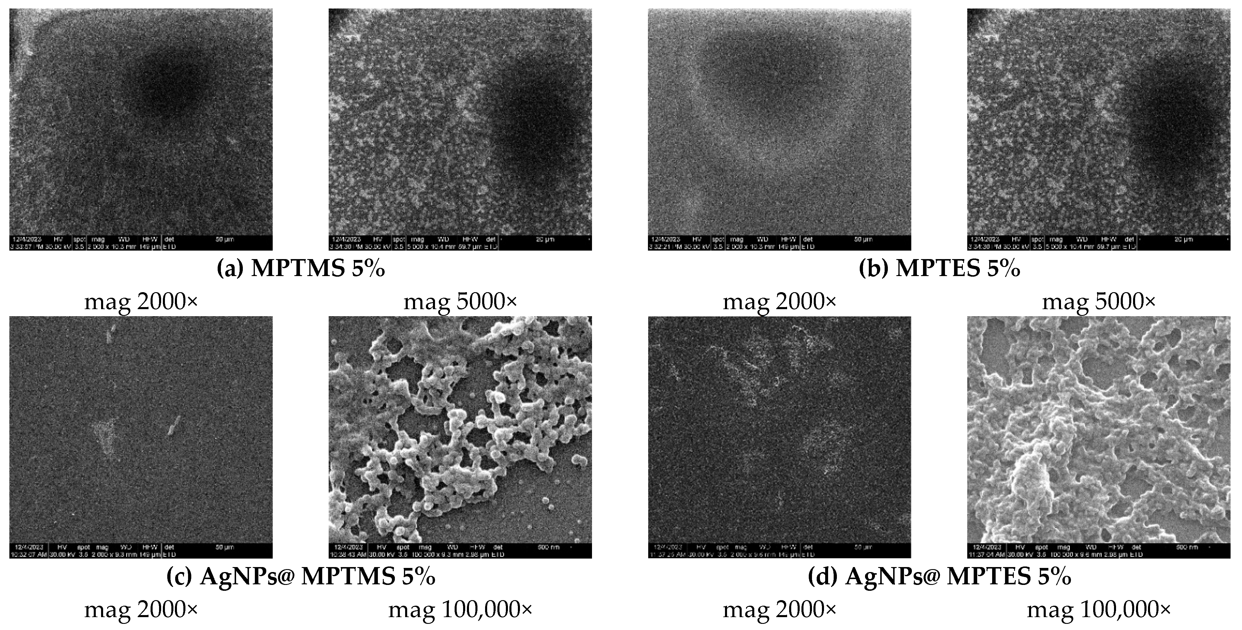 Coatings 14 00096 g010a Coatings 14 00096 g010a
