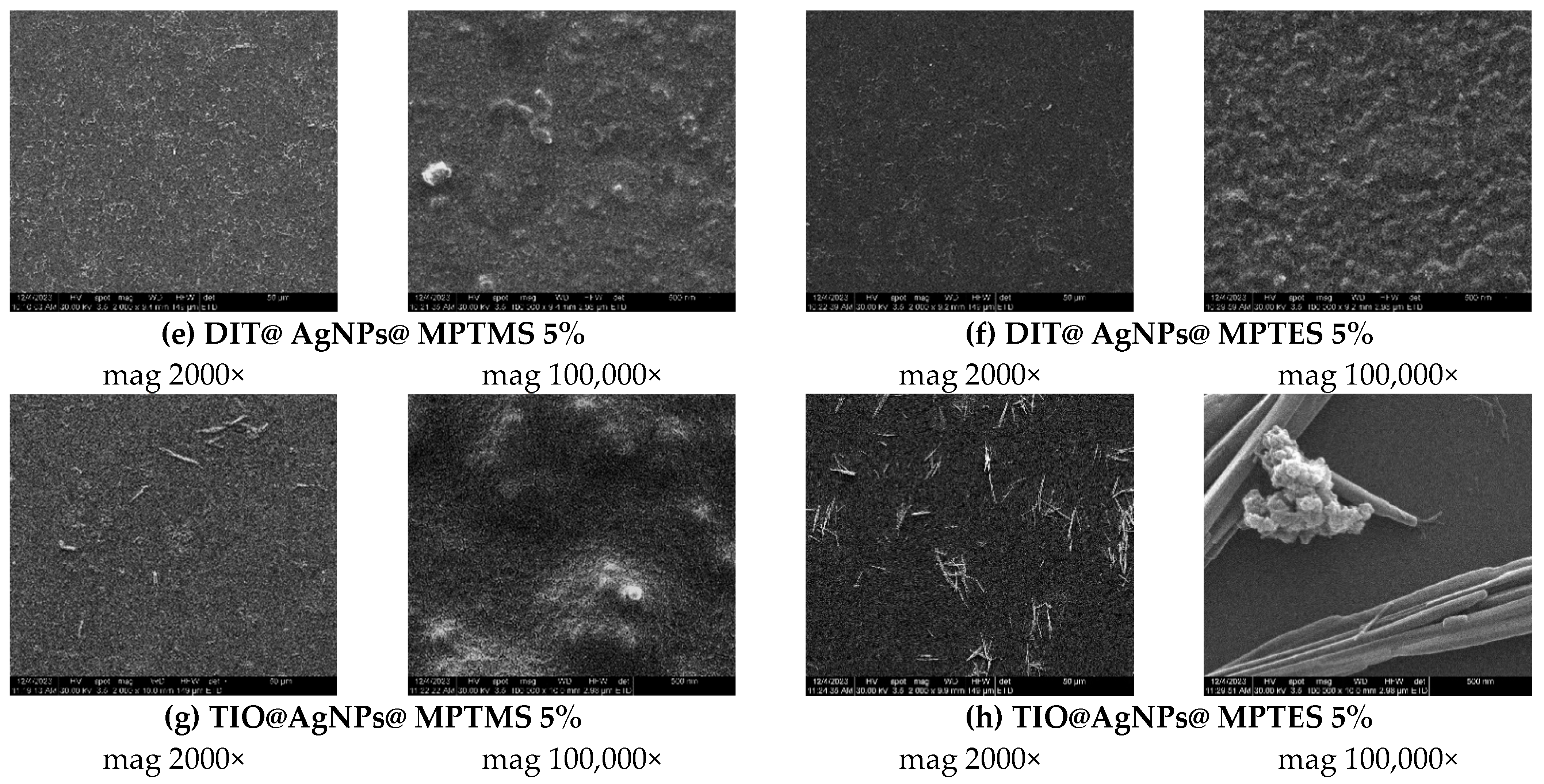 Coatings 14 00096 g010b Coatings 14 00096 g010b