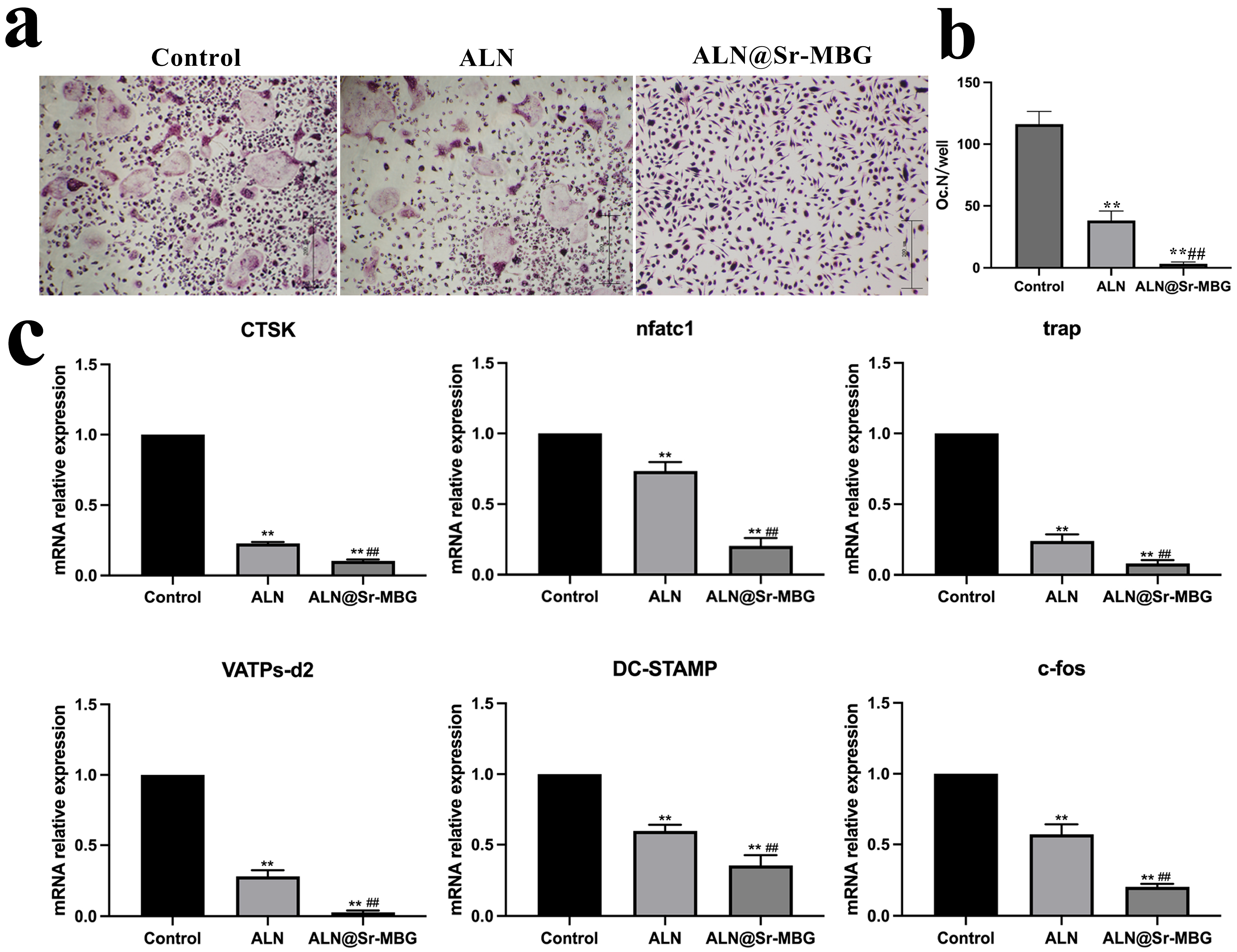 Coatings 14 00097 g004