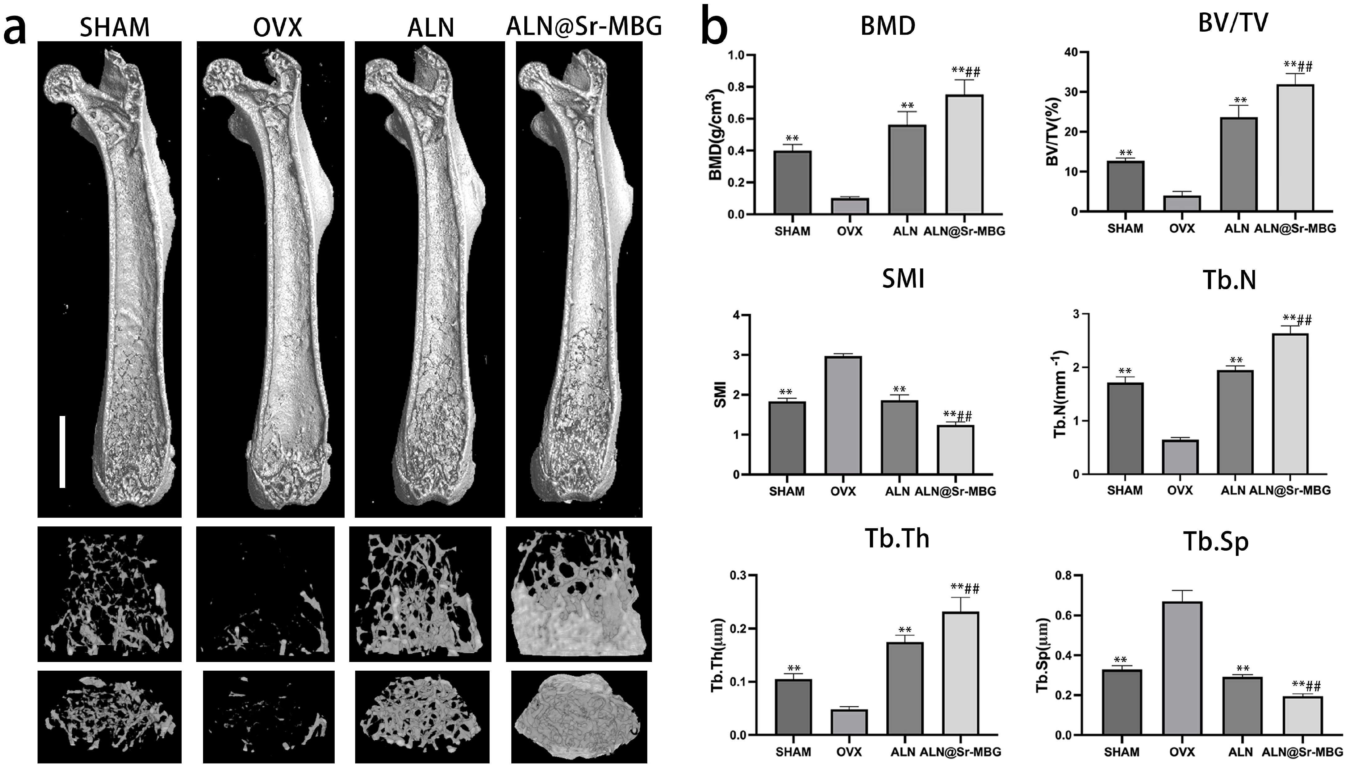 Coatings 14 00097 g005