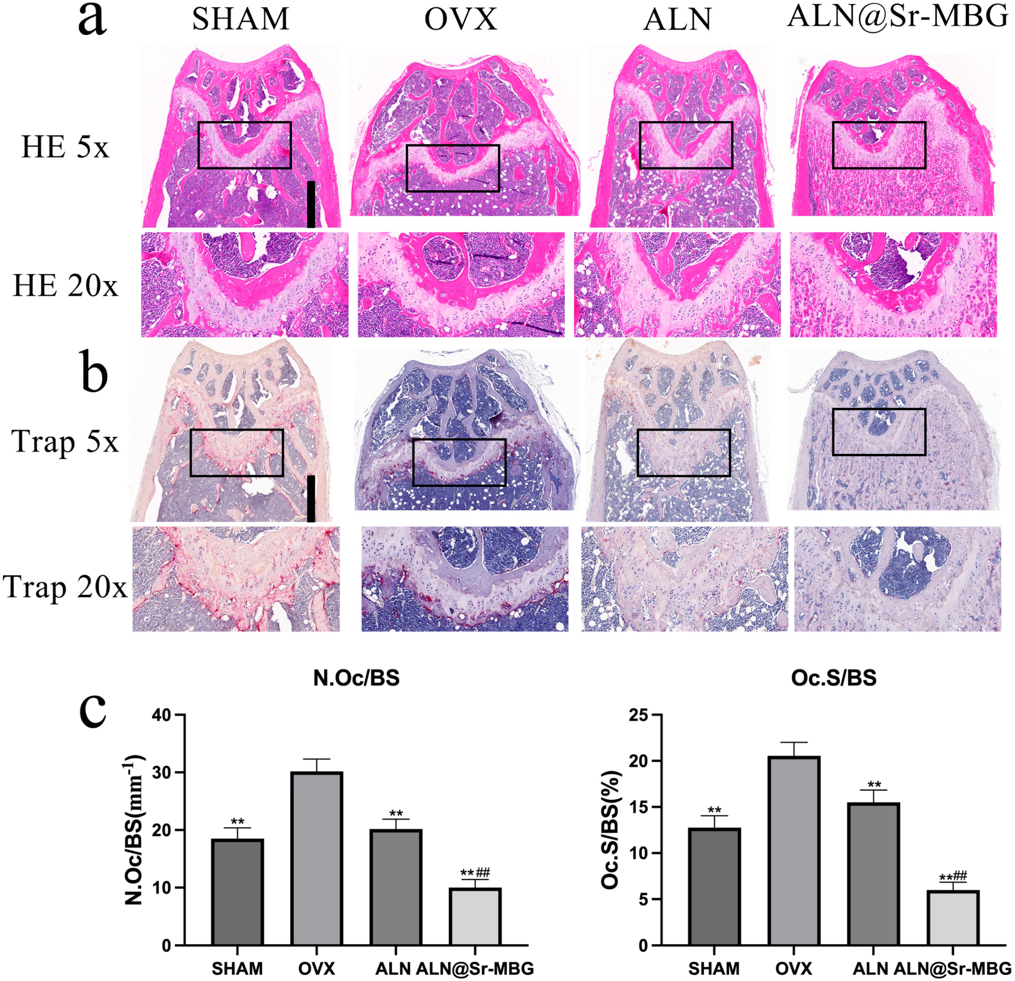Coatings 14 00097 g006