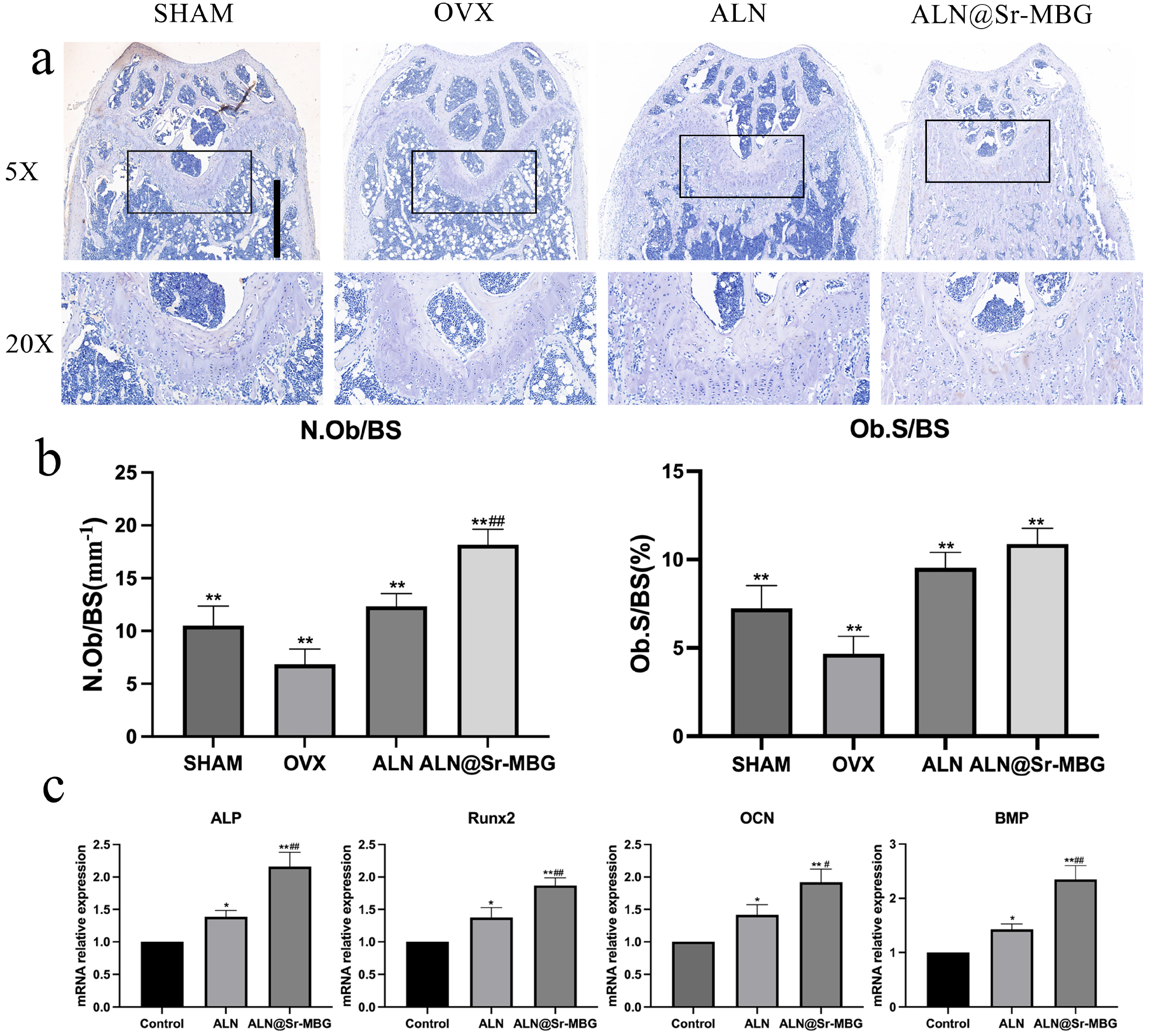 Coatings 14 00097 g007