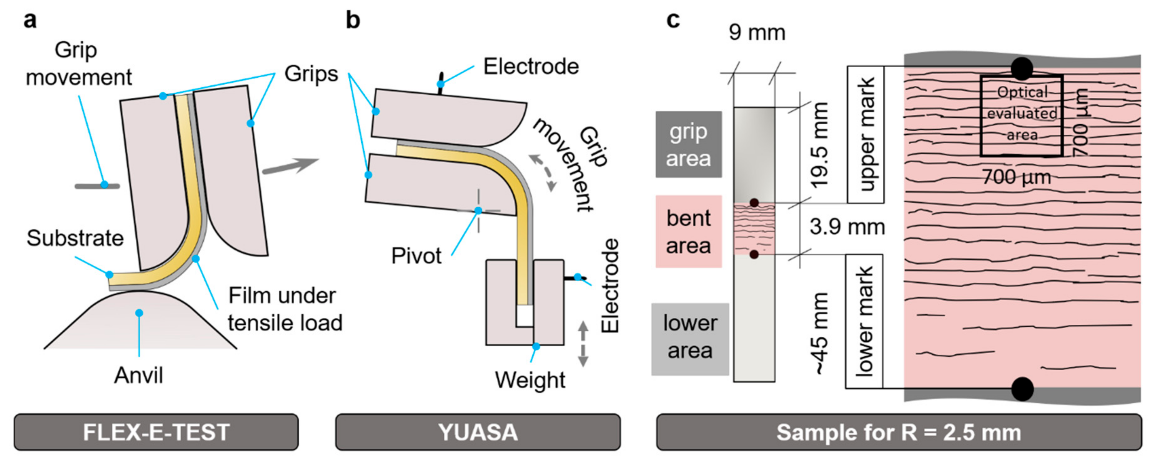 Coatings 14 00098 g003