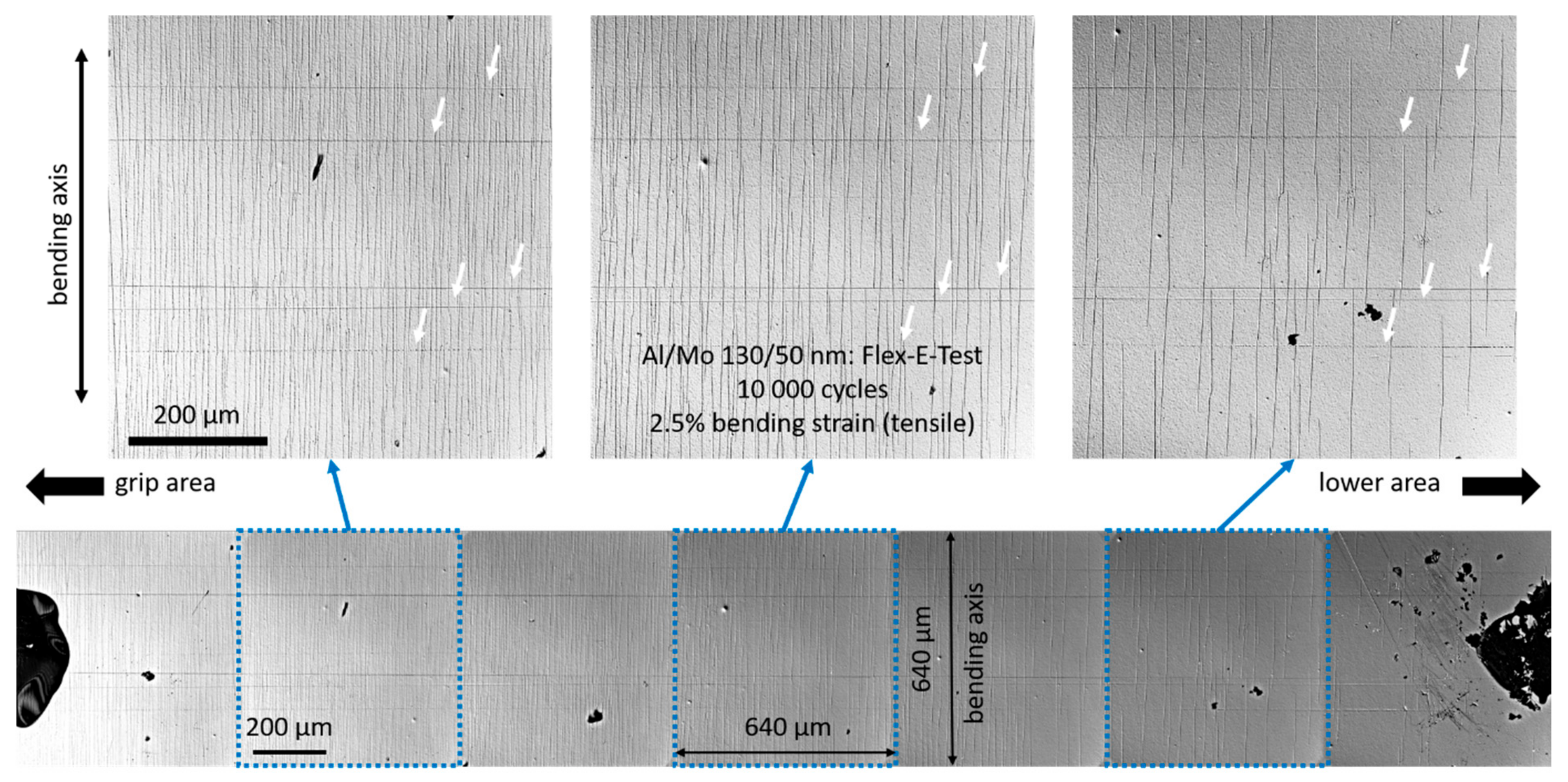 Coatings 14 00098 g004