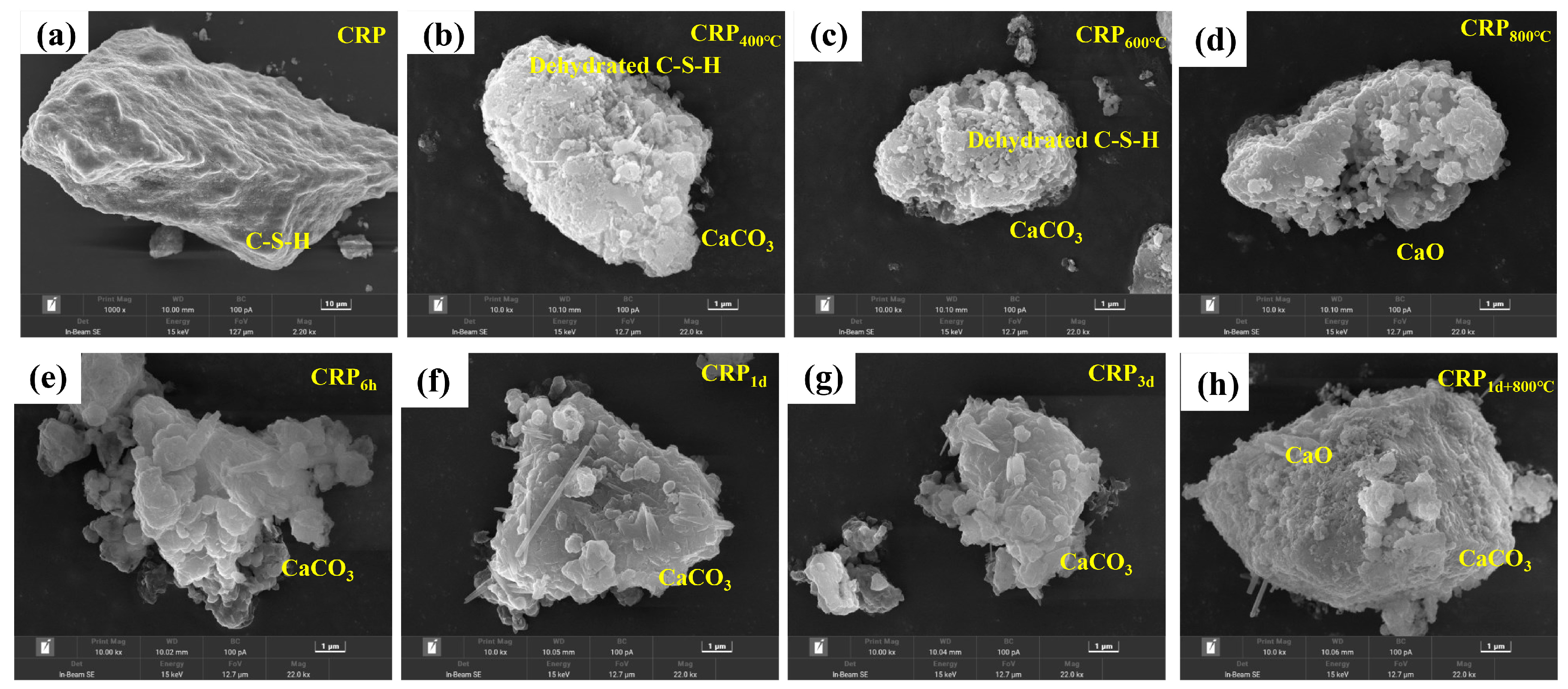 Coatings 14 00107 g004