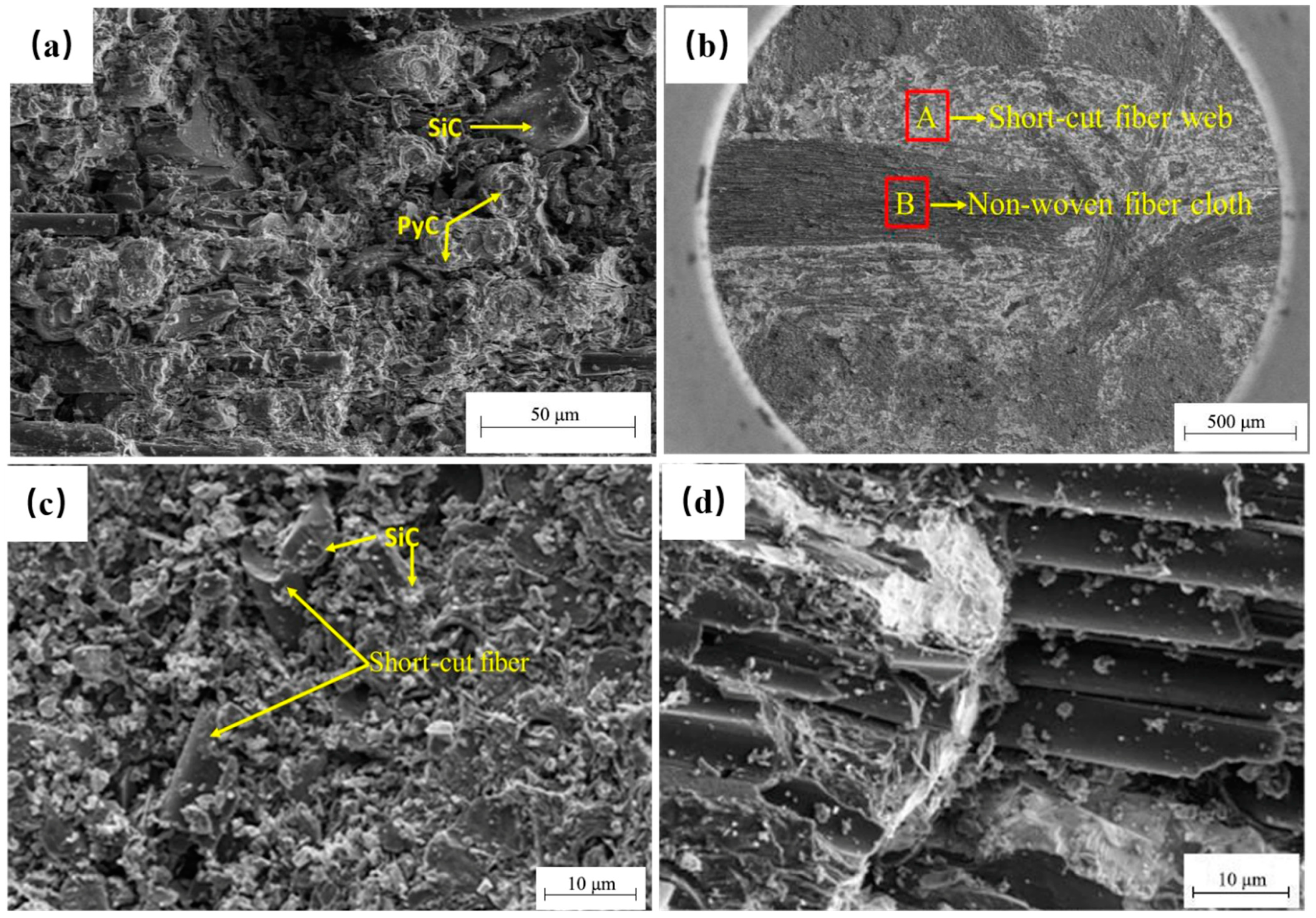 Coatings 14 00108 g004