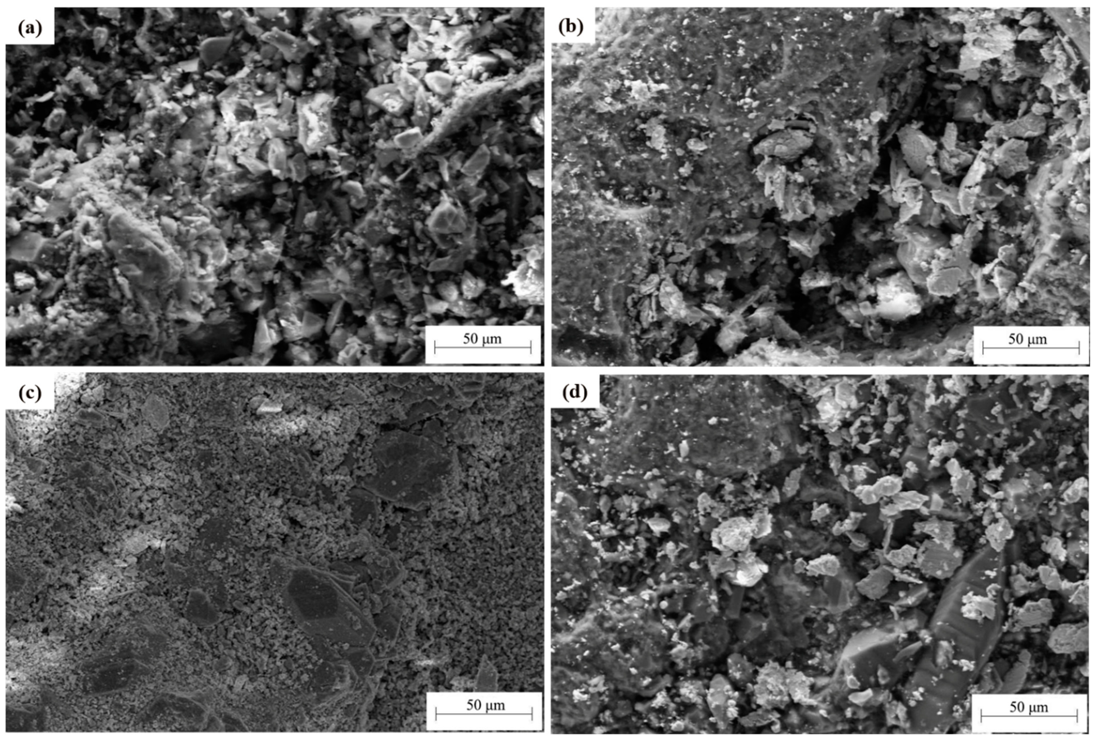 Coatings 14 00108 g005