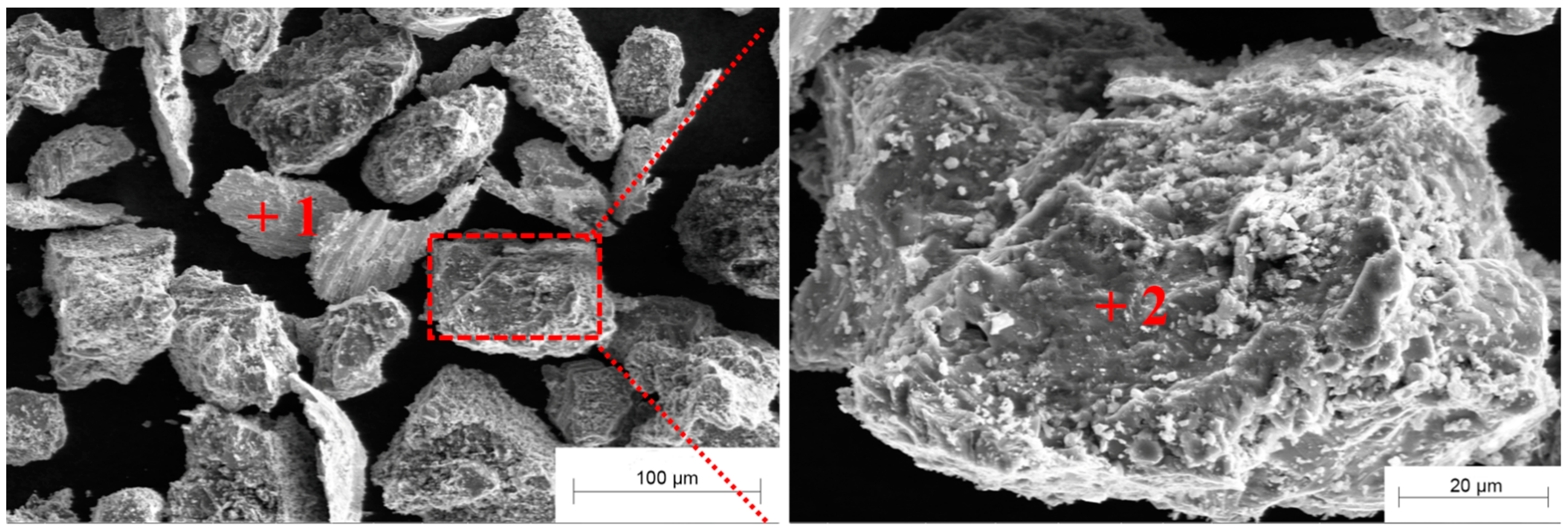 Coatings 14 00108 g011