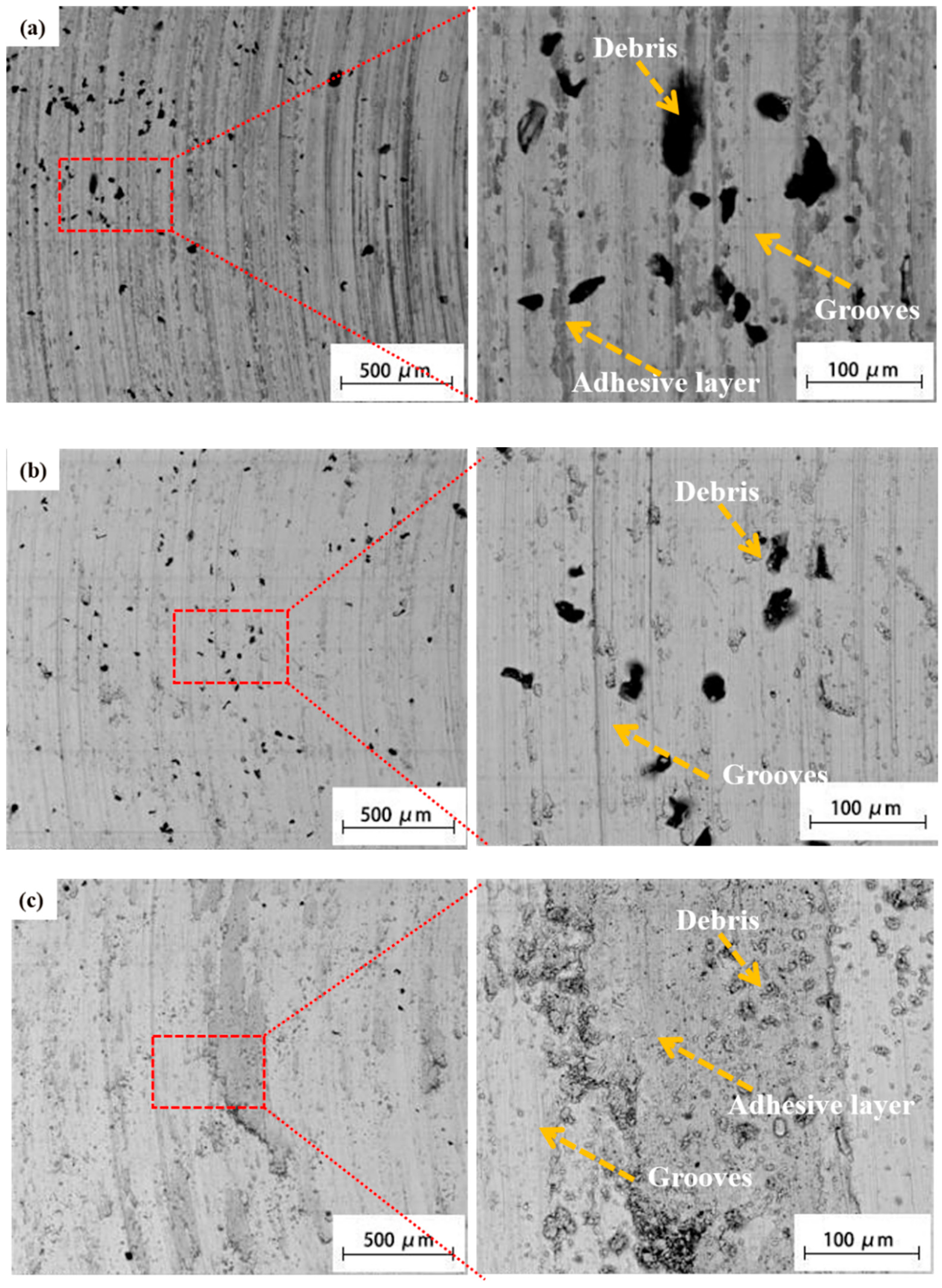 Coatings 14 00108 g012a
