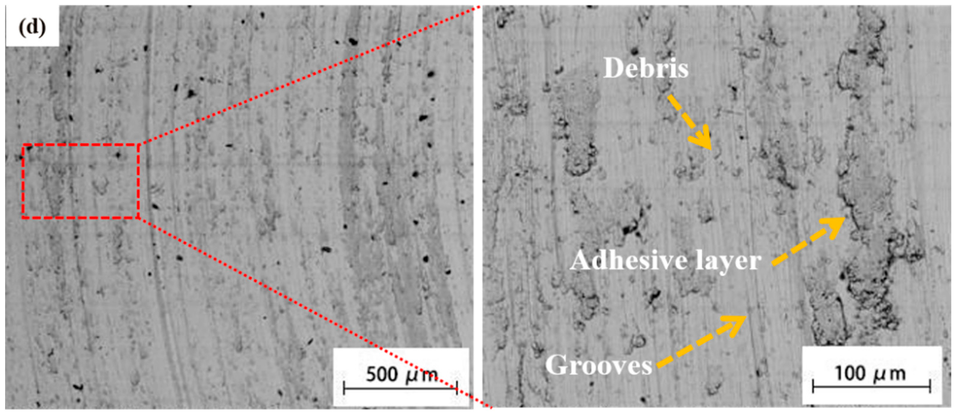 Coatings 14 00108 g012b