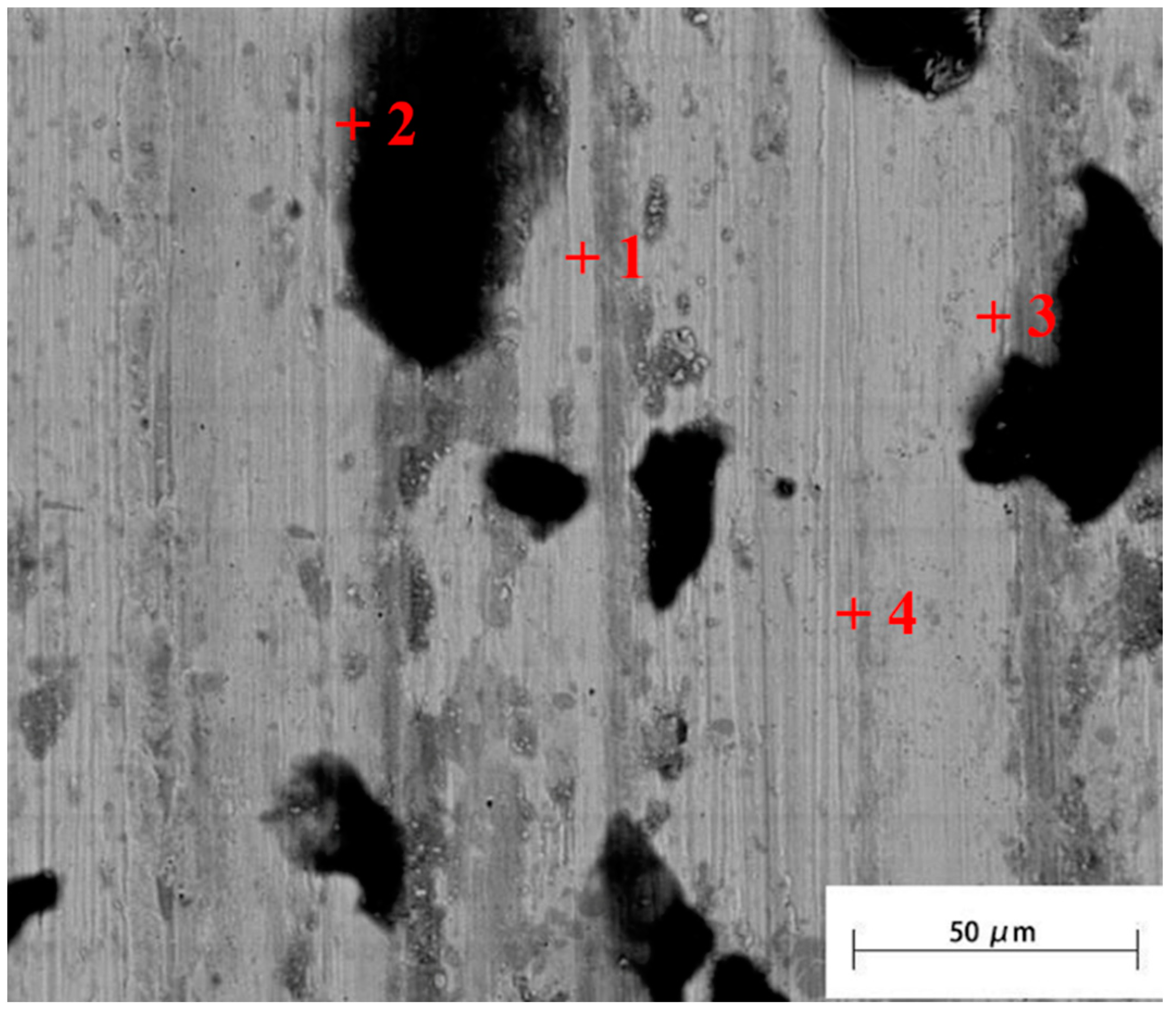 Coatings 14 00108 g014