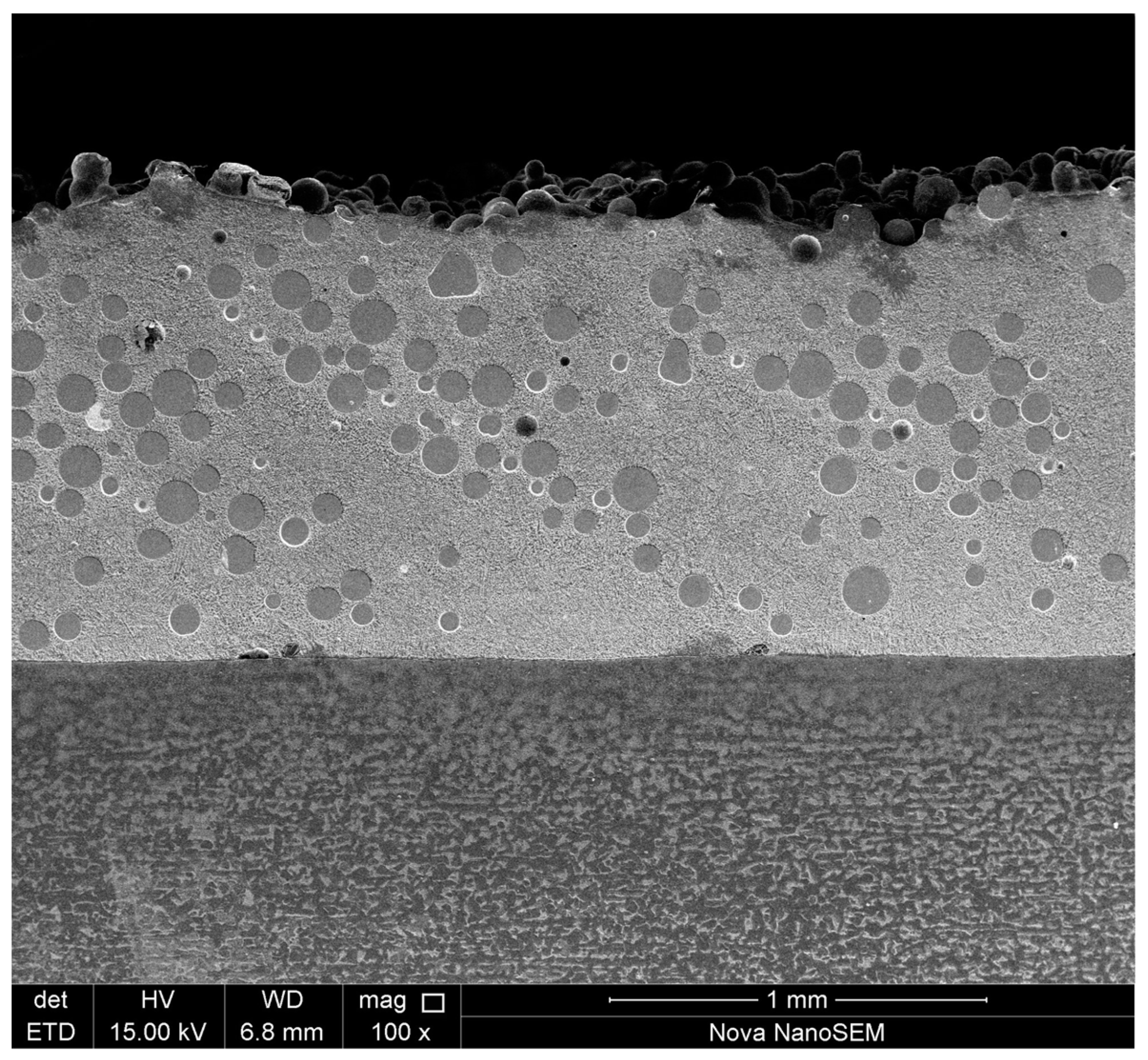 Coatings 14 00114 g004