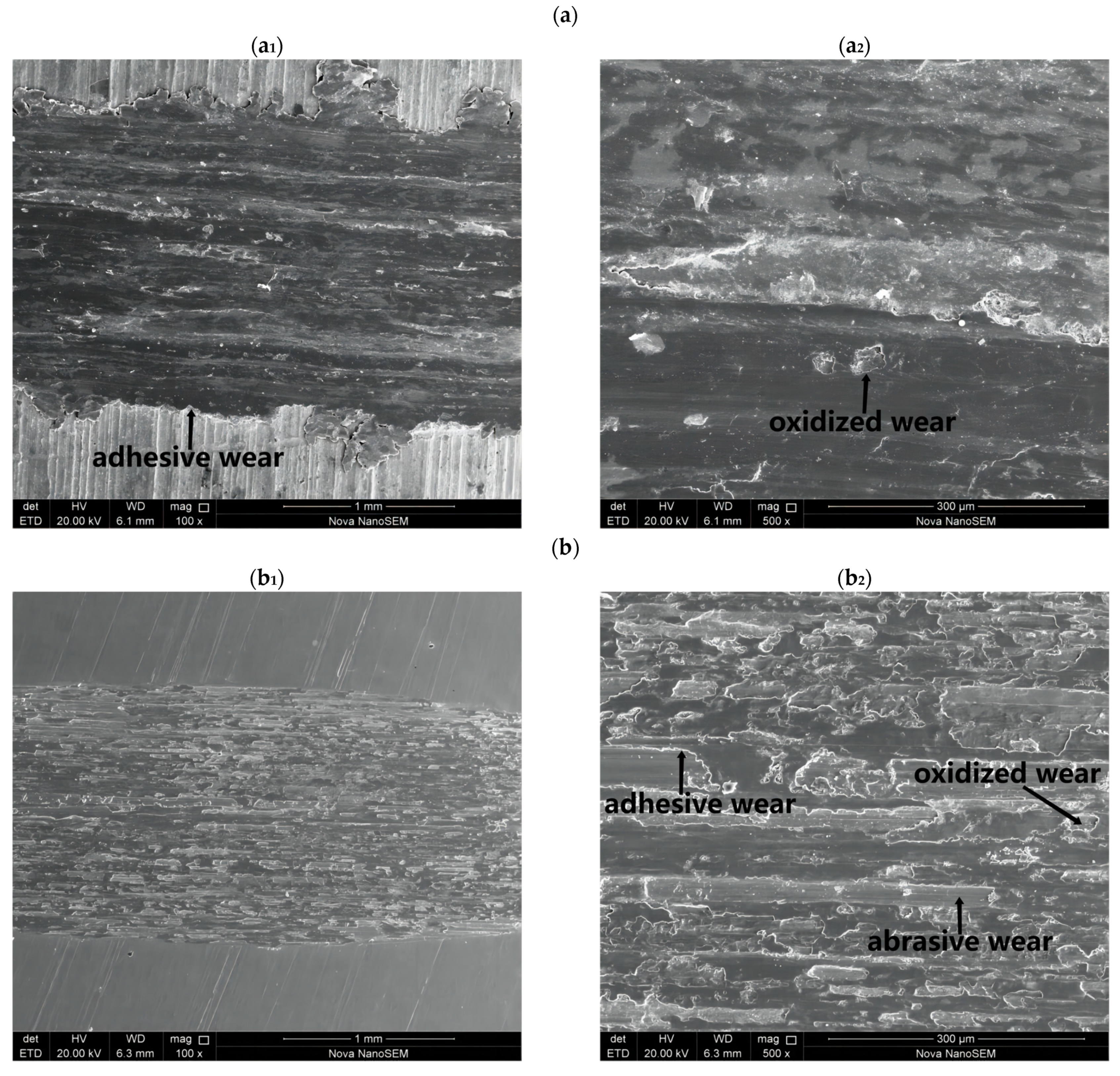 Coatings 14 00114 g009a