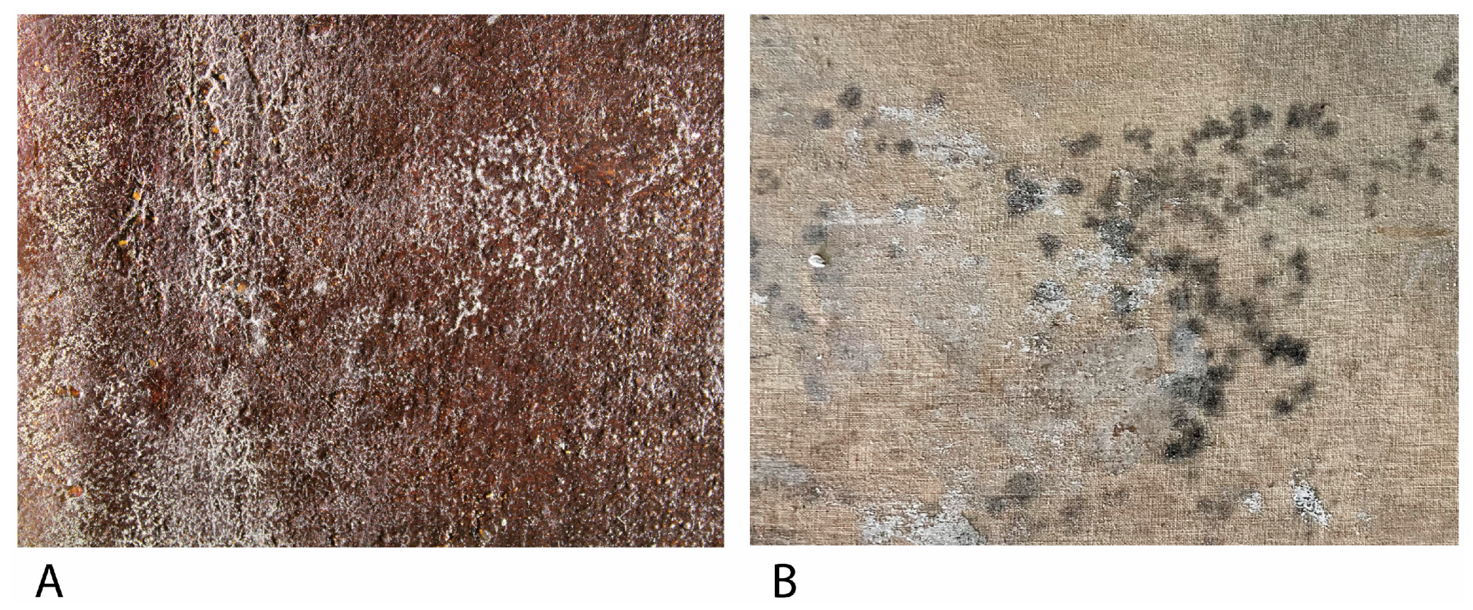 Coatings 14 00124 g003 Coatings 14 00124 g003