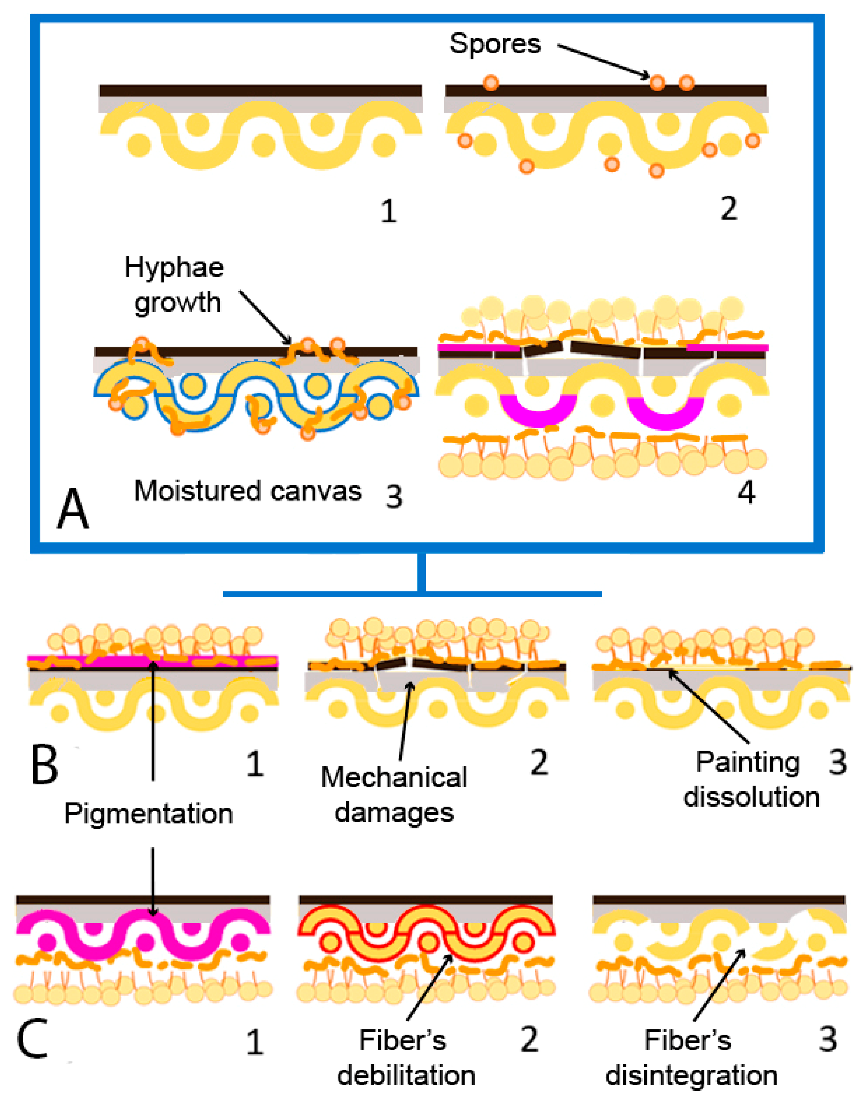 Coatings 14 00124 g005 Coatings 14 00124 g005