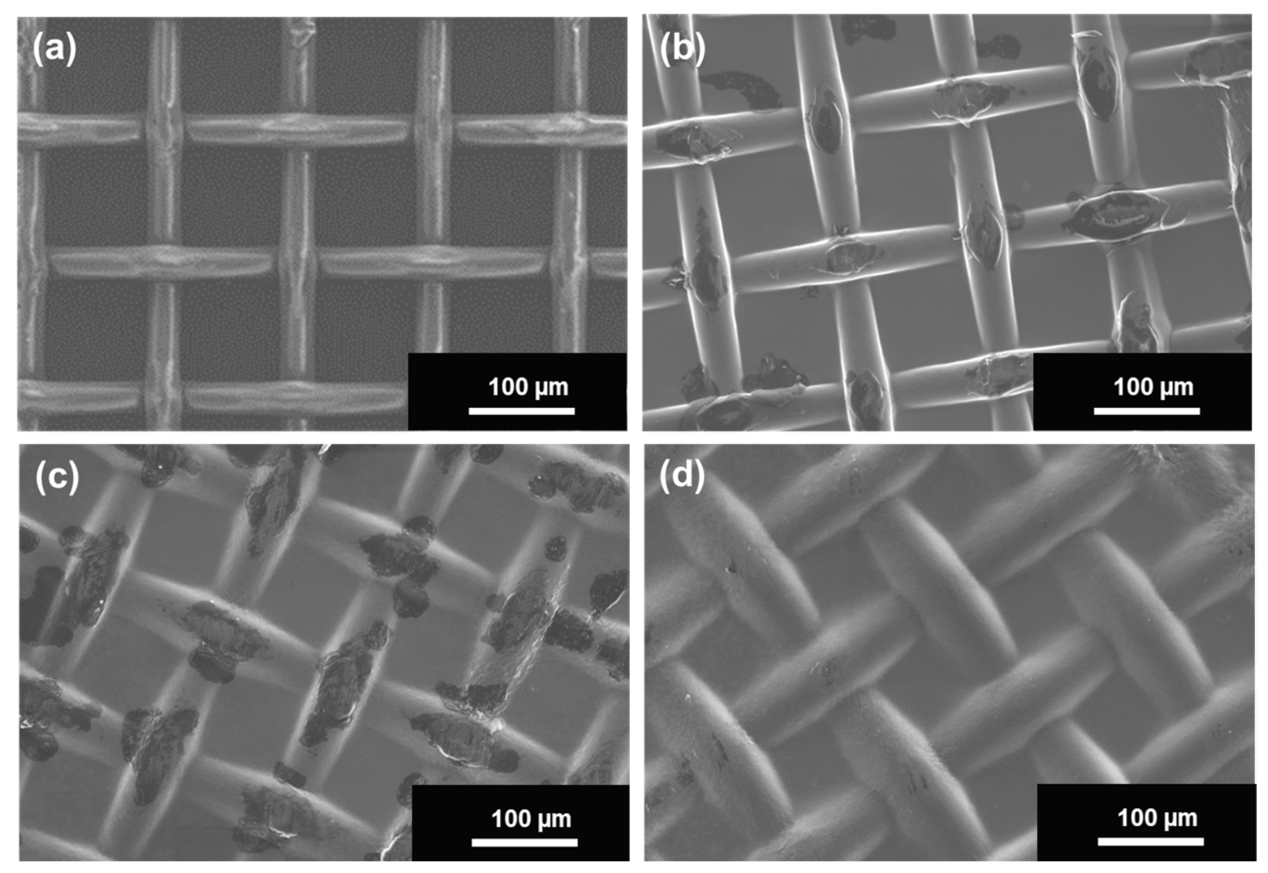 Coatings 14 00126 g002