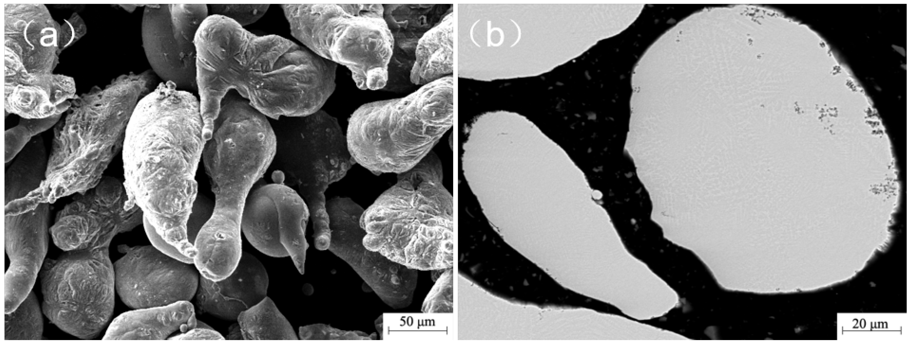 Coatings 14 00128 g001