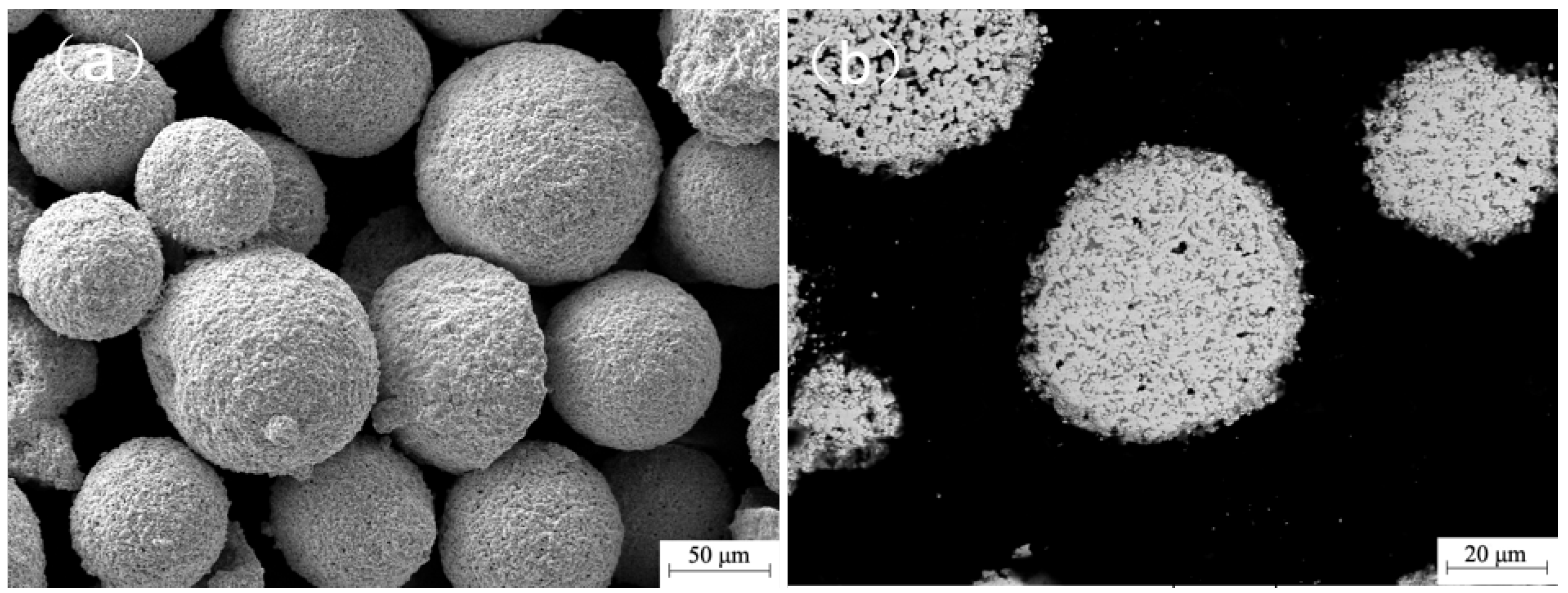 Coatings 14 00128 g002