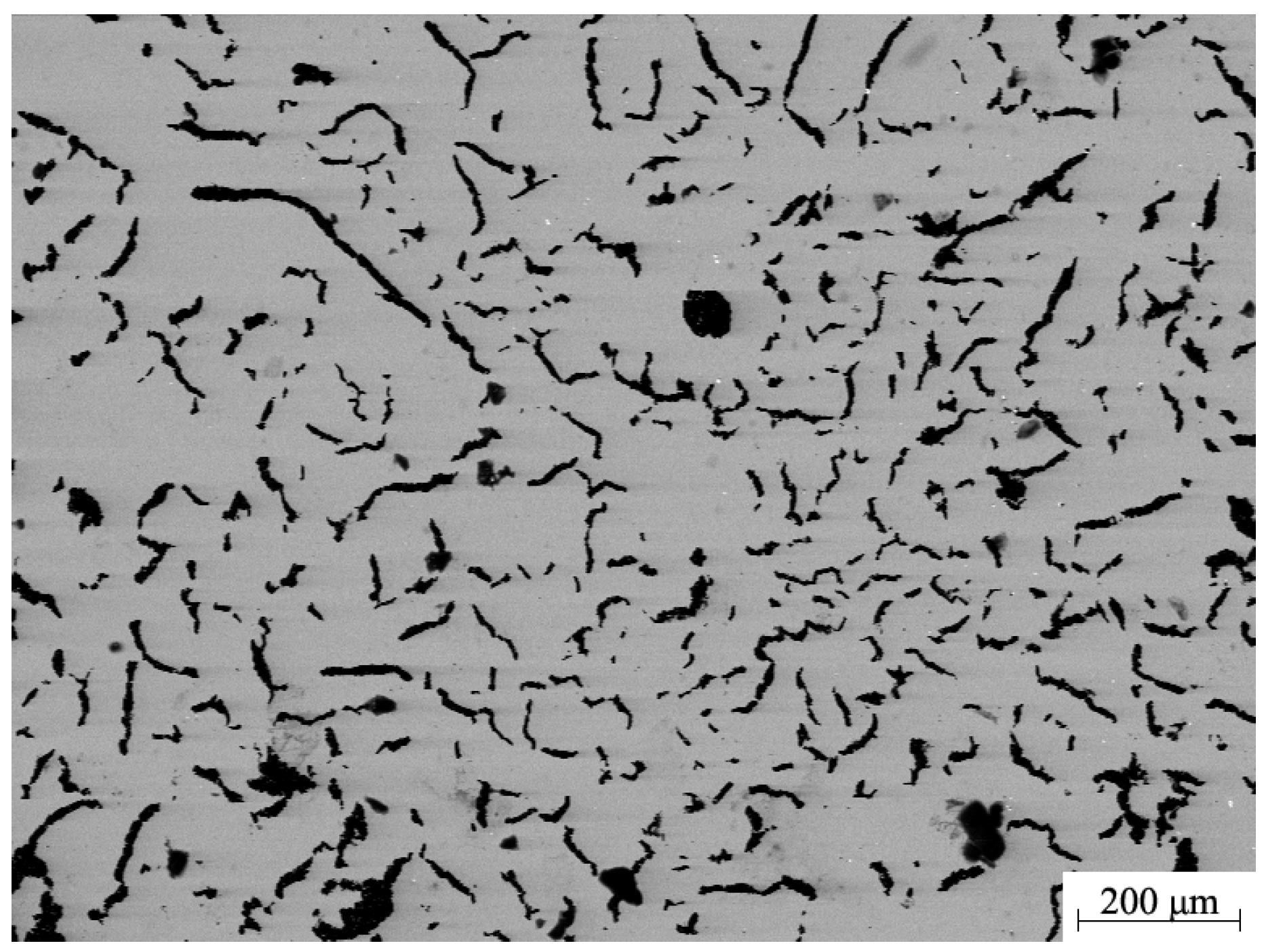 Coatings 14 00128 g004