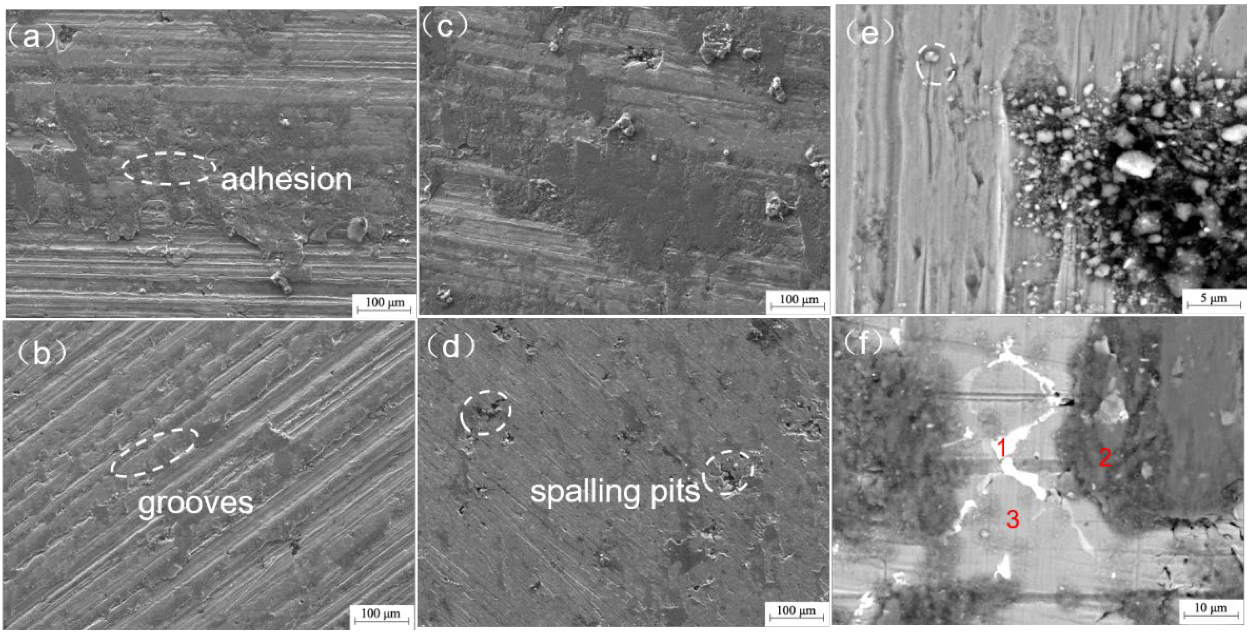 Coatings 14 00128 g013