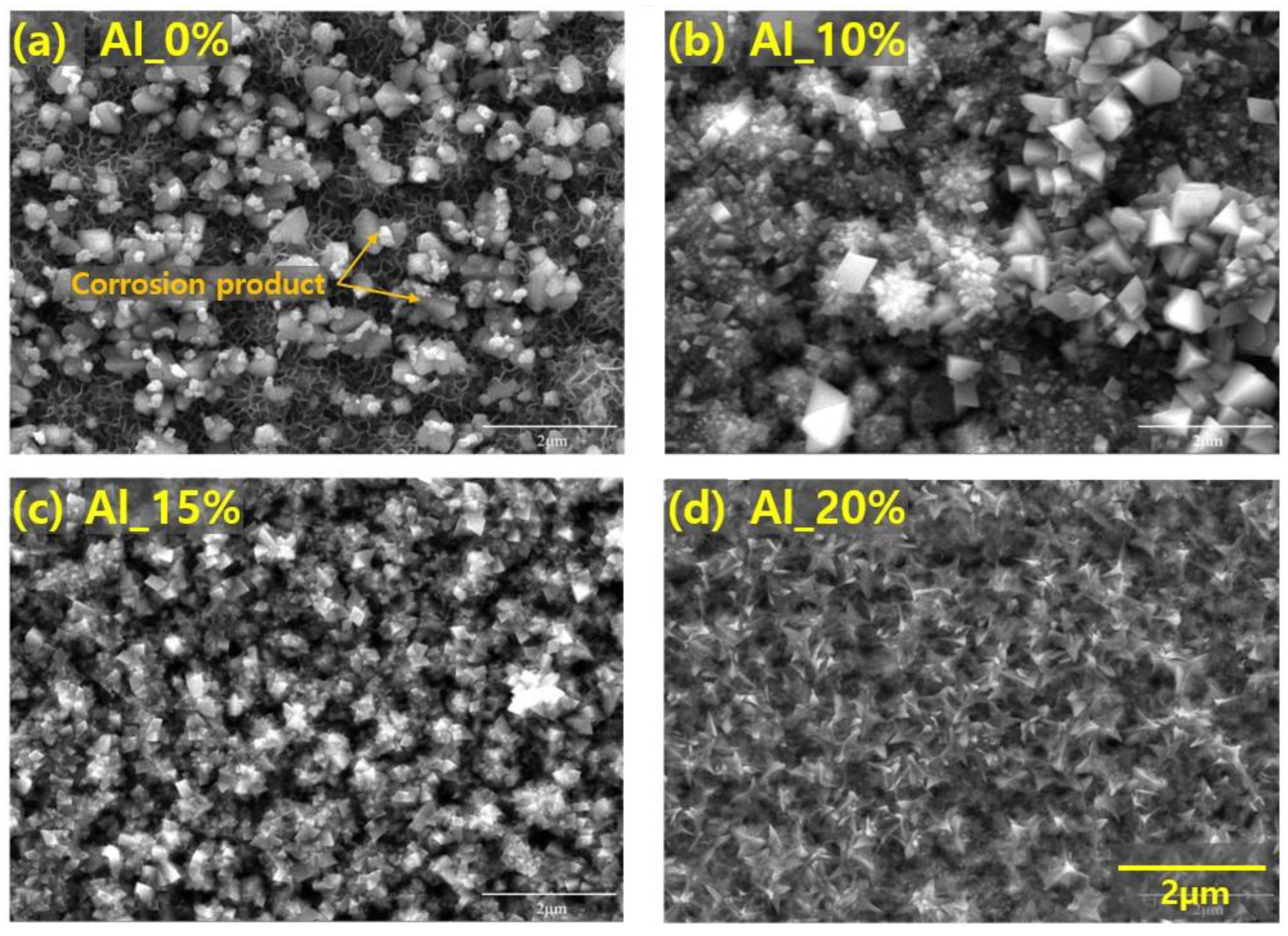 Coatings 14 00132 g006