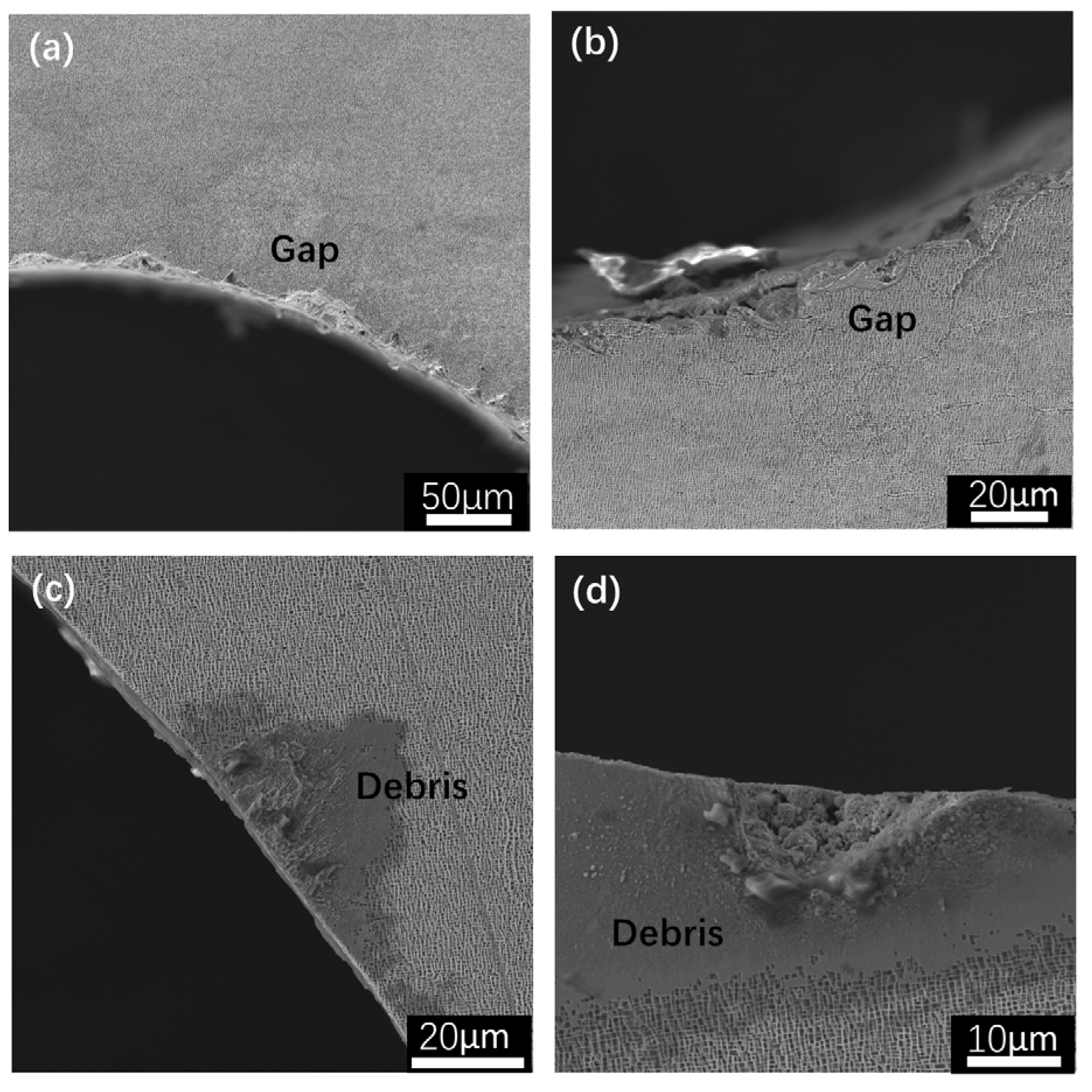 Coatings 14 00137 g007