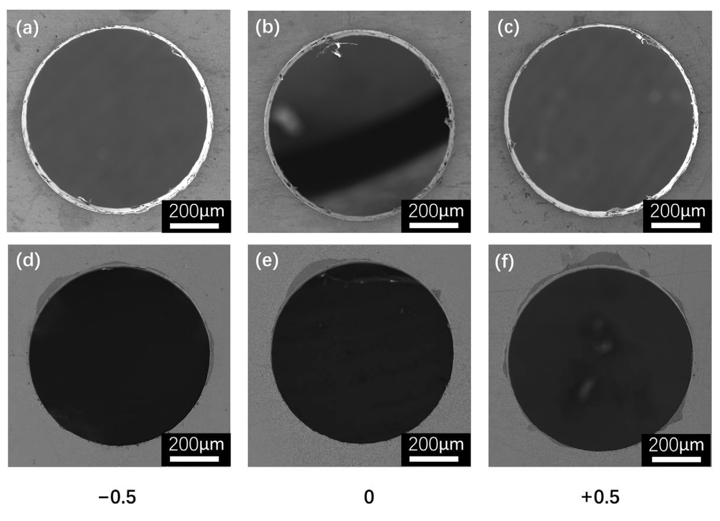Coatings 14 00137 g010