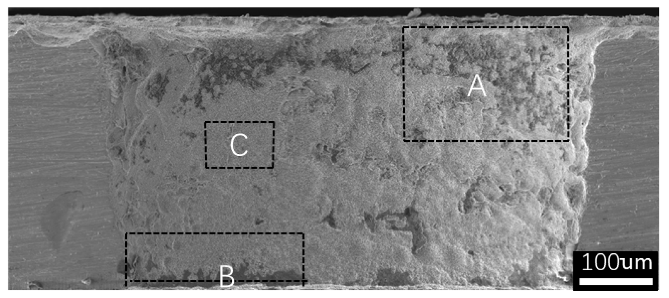 Coatings 14 00137 g018