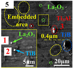 Coatings 14 00139 i005