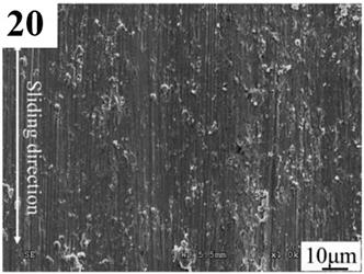 Coatings 14 00139 i020