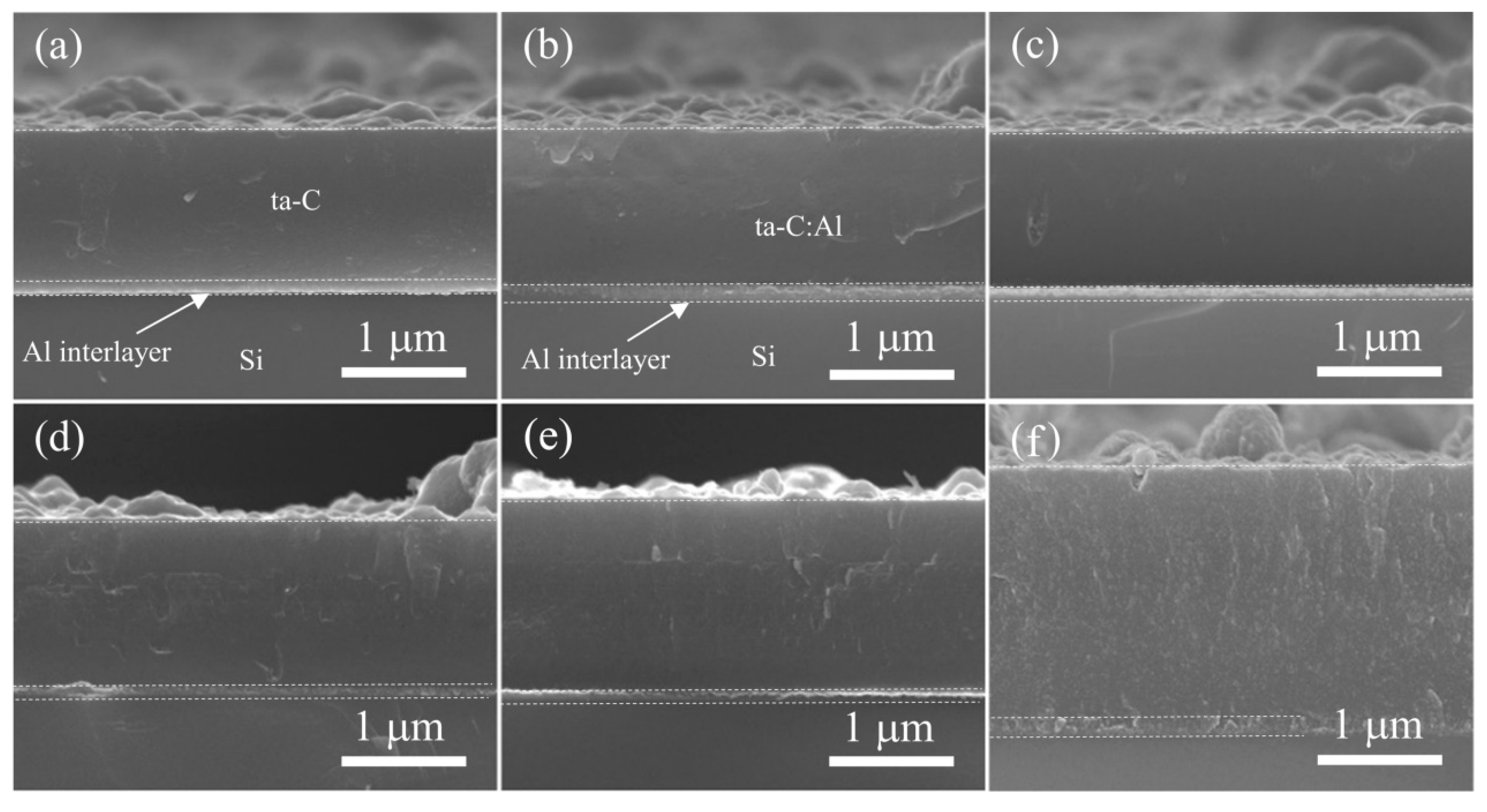 Coatings 14 00142 g001