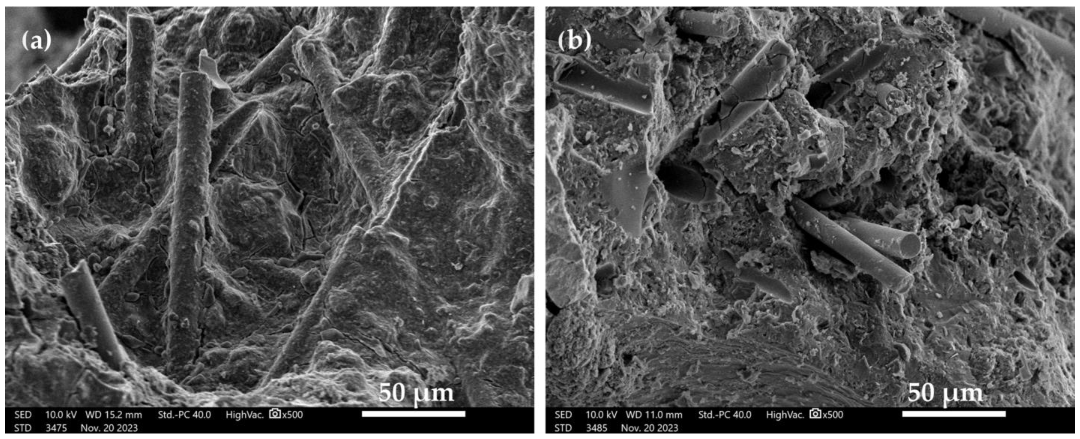 Coatings 14 00146 g006