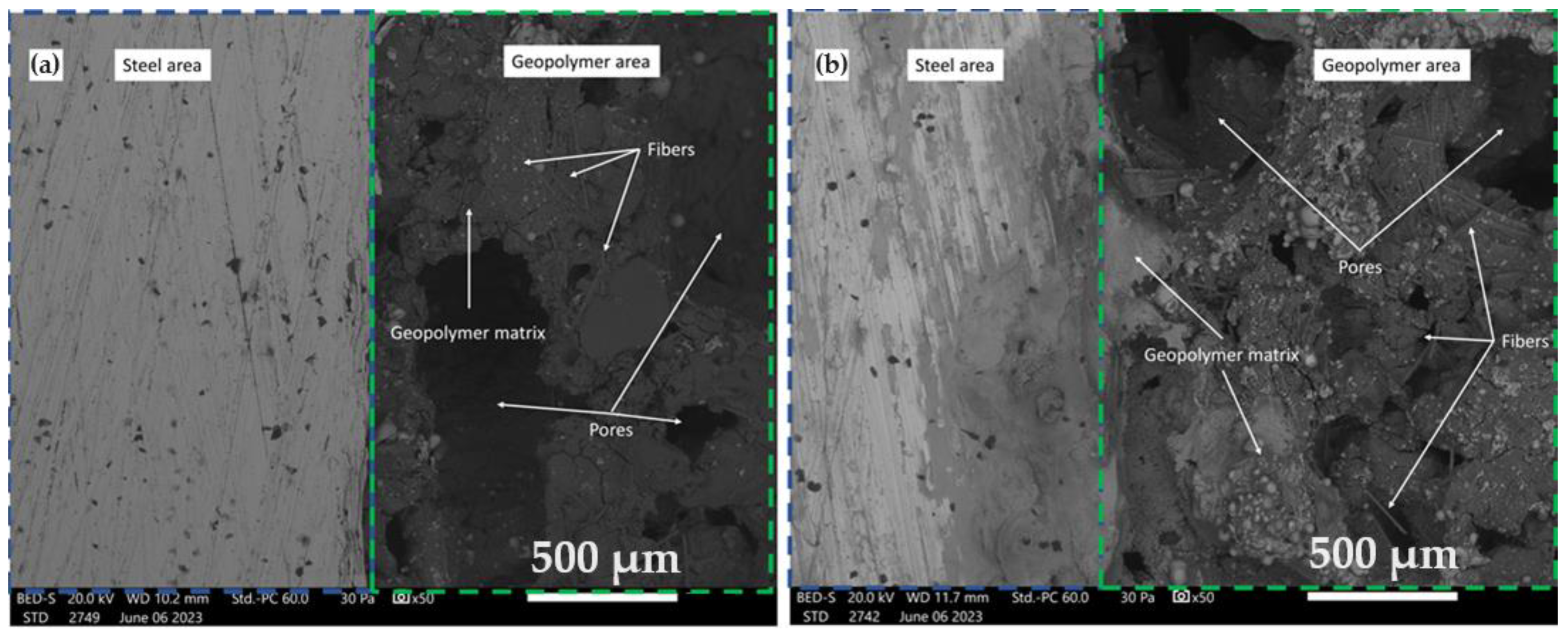 Coatings 14 00146 g007
