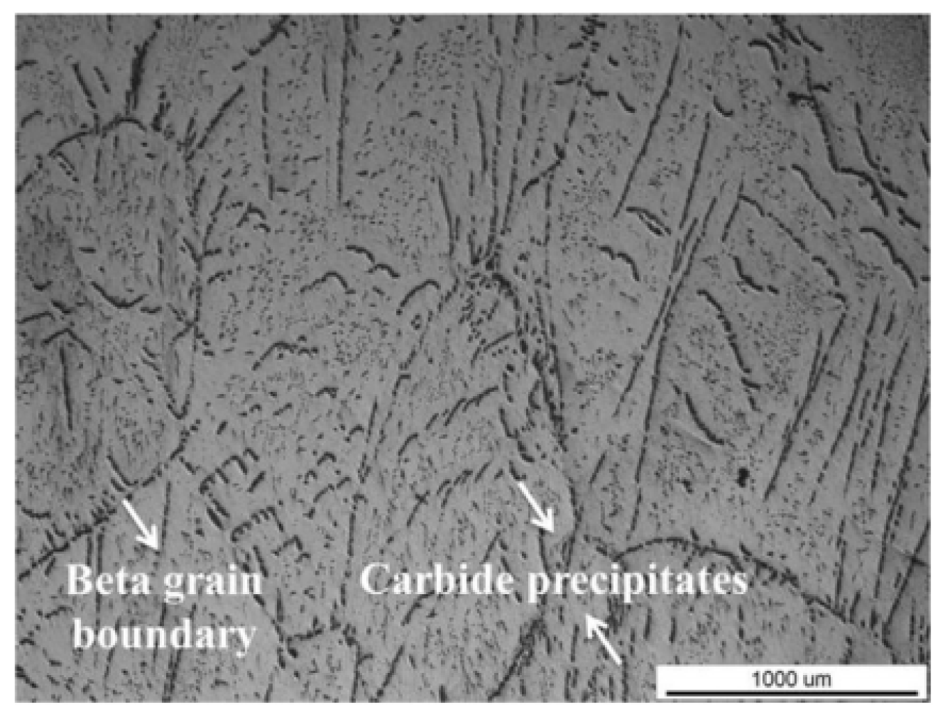 Coatings 14 00148 g005