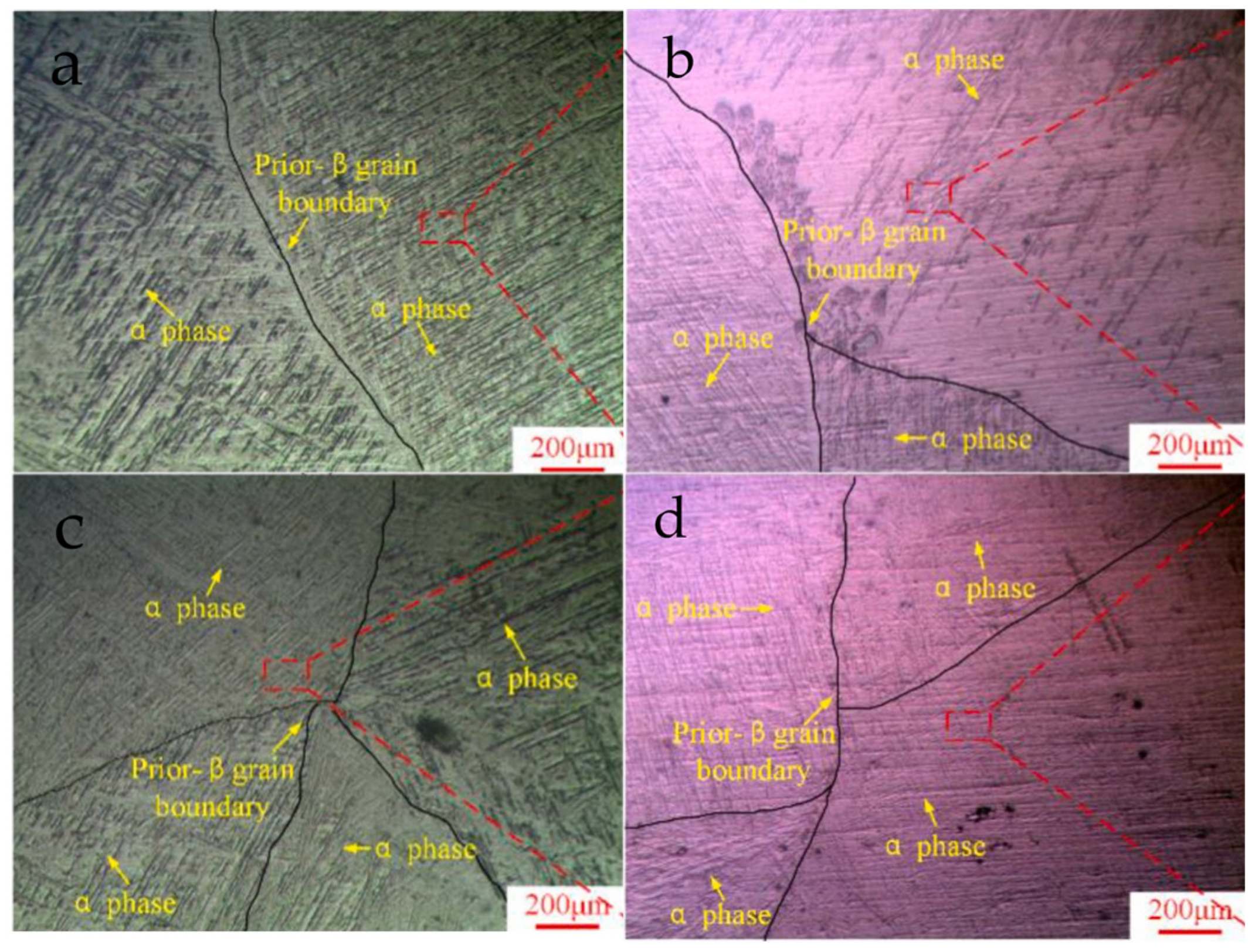Coatings 14 00148 g006