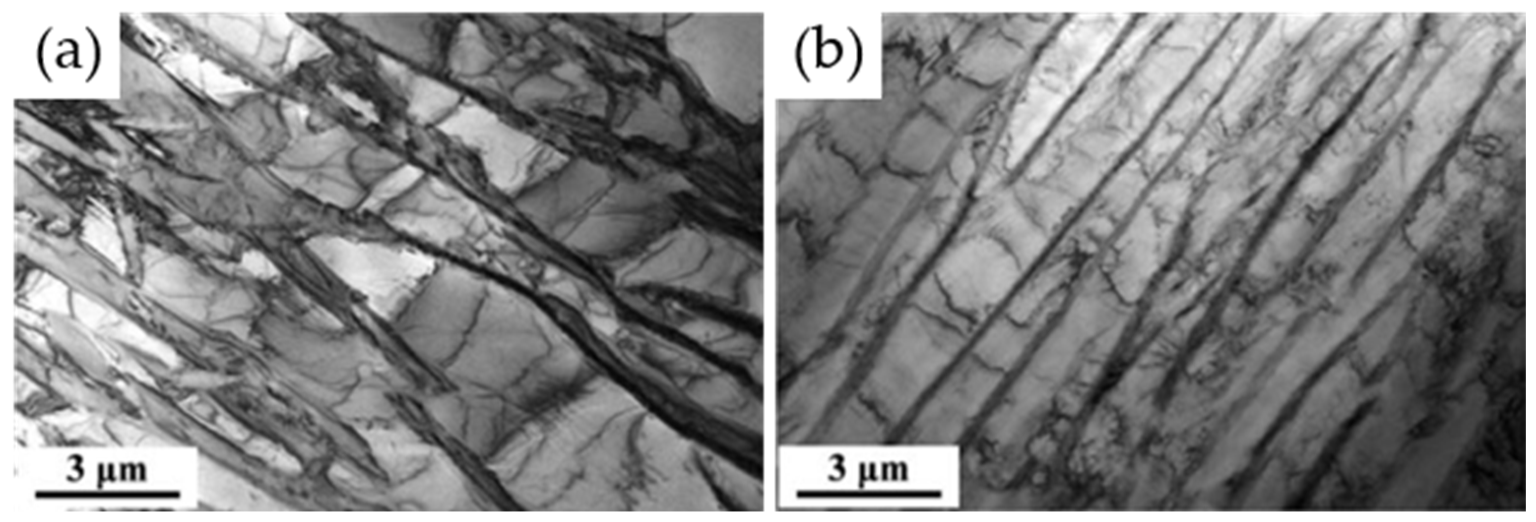 Coatings 14 00148 g011