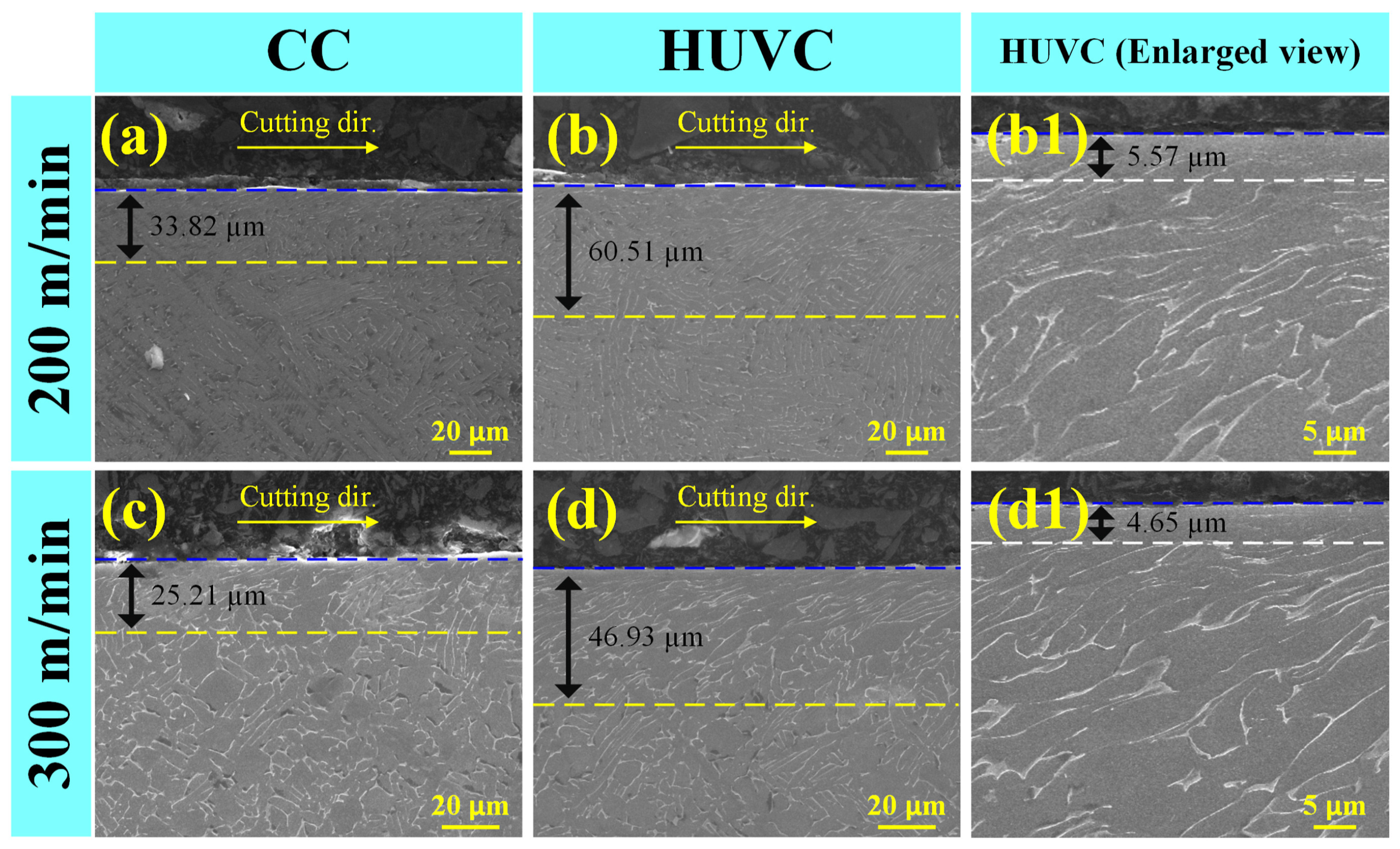 Coatings 14 00148 g016