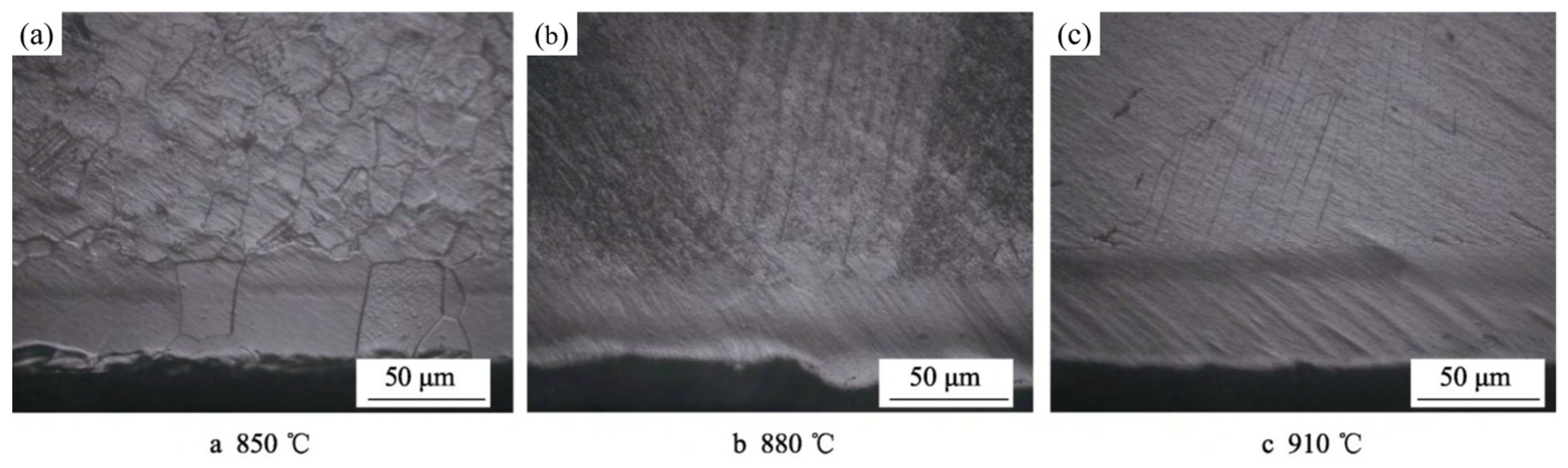 Coatings 14 00148 g025