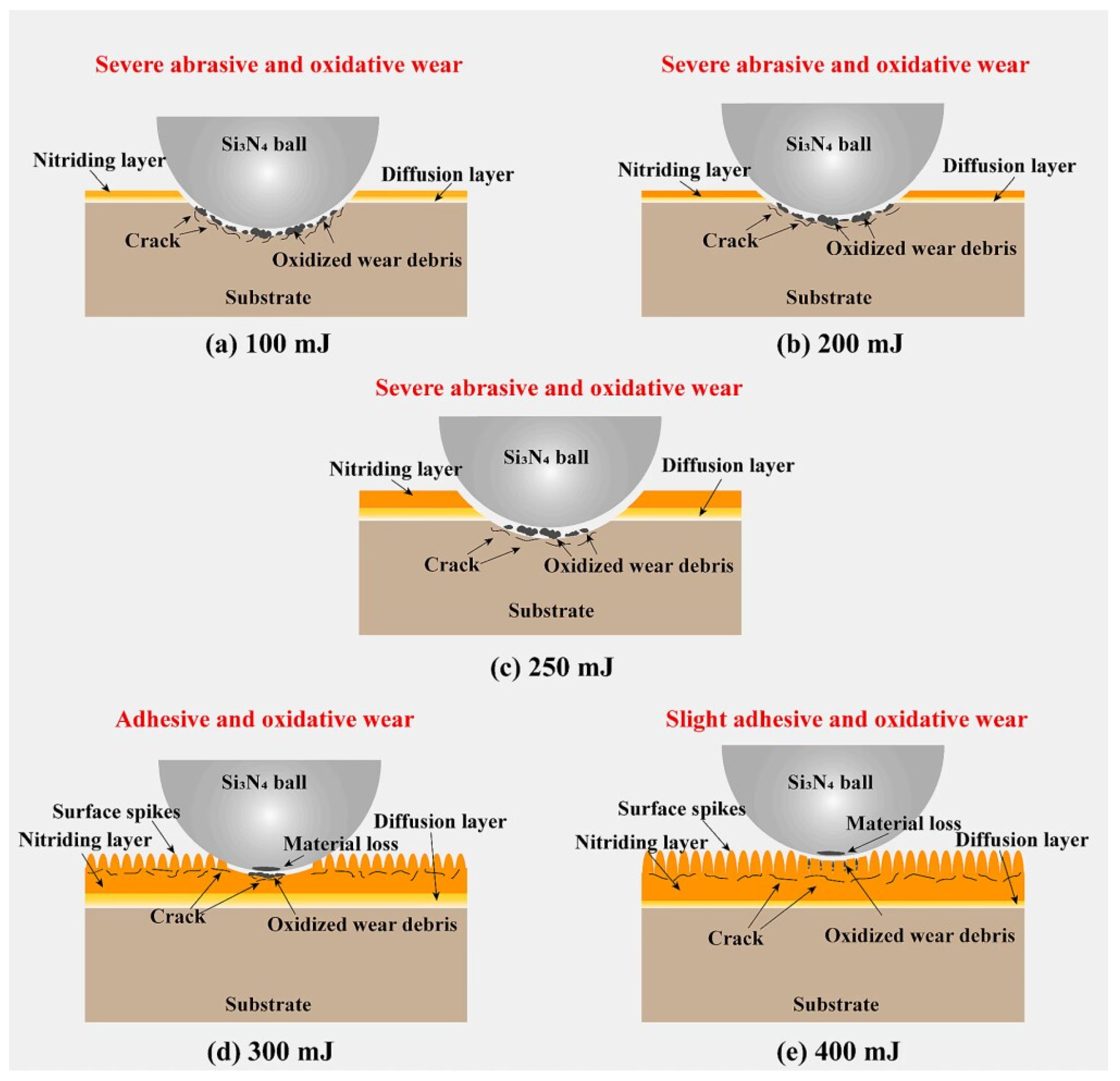 Coatings 14 00148 g031