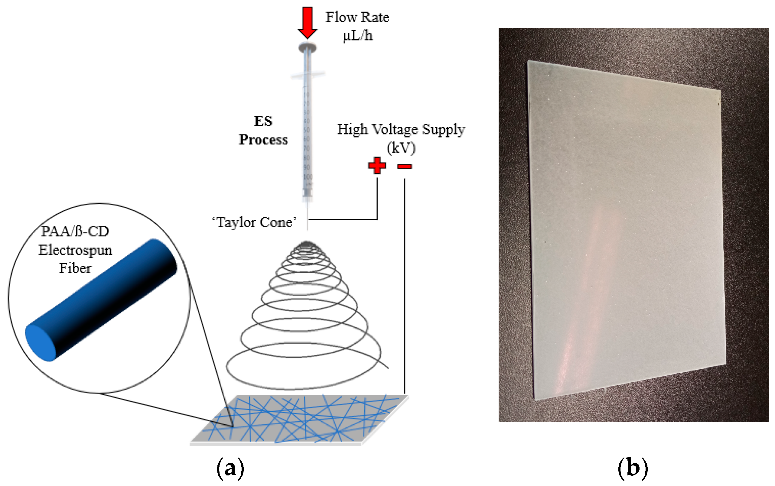 Coatings 14 00151 g002