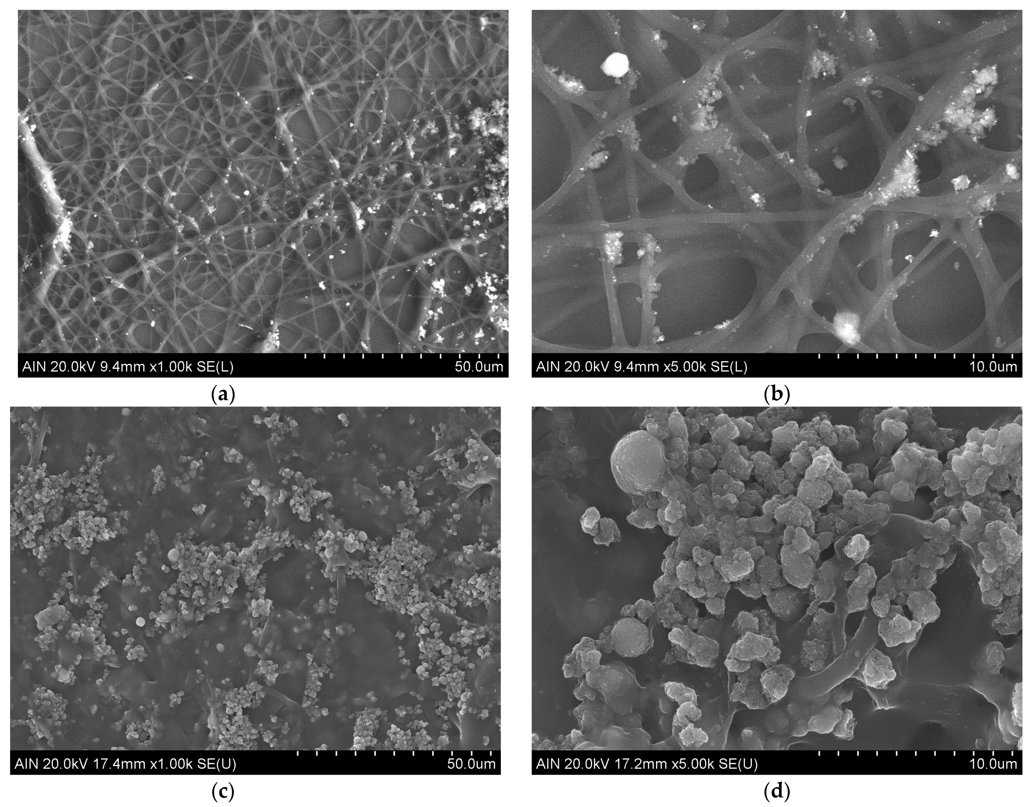 Coatings 14 00151 g008