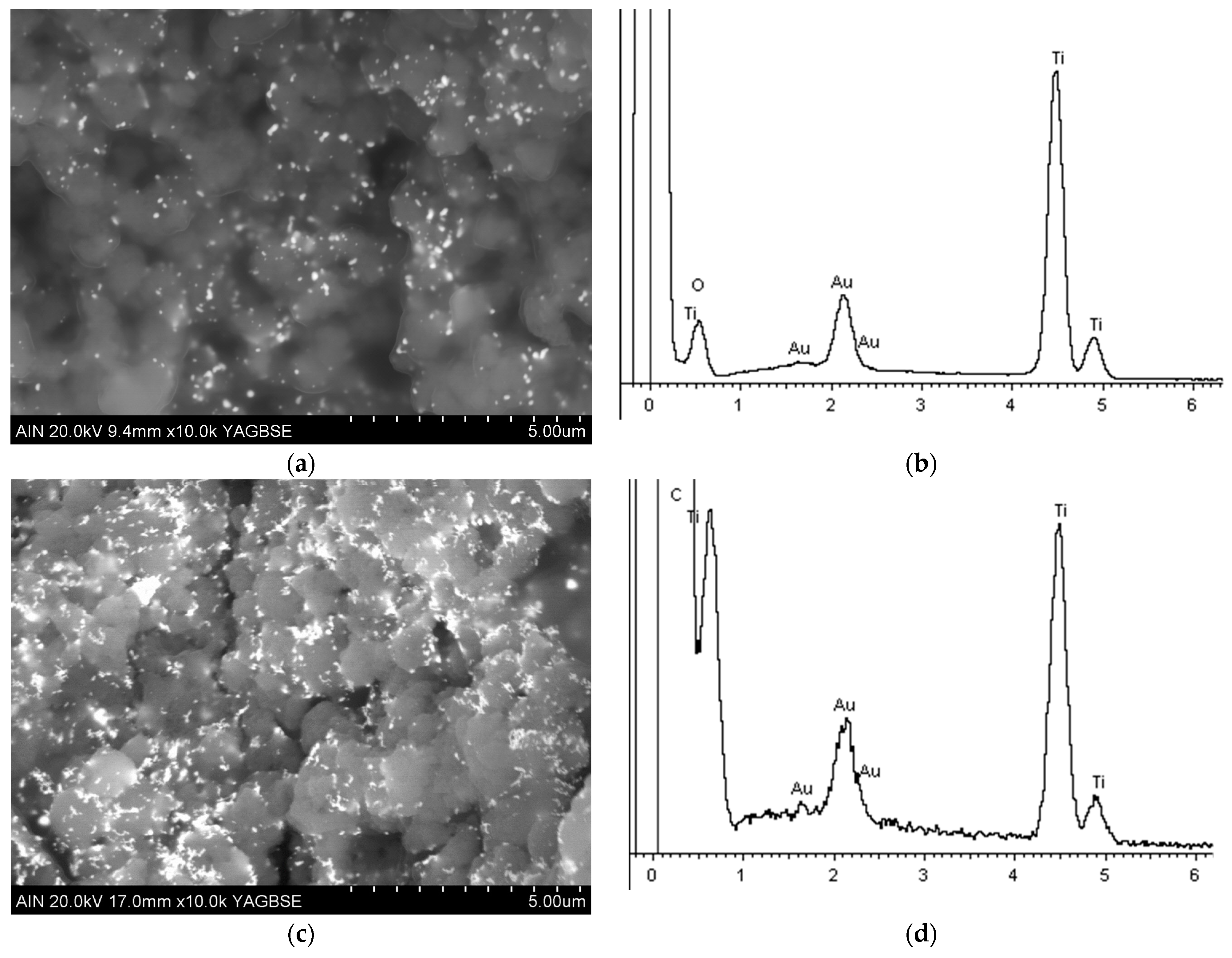 Coatings 14 00151 g010