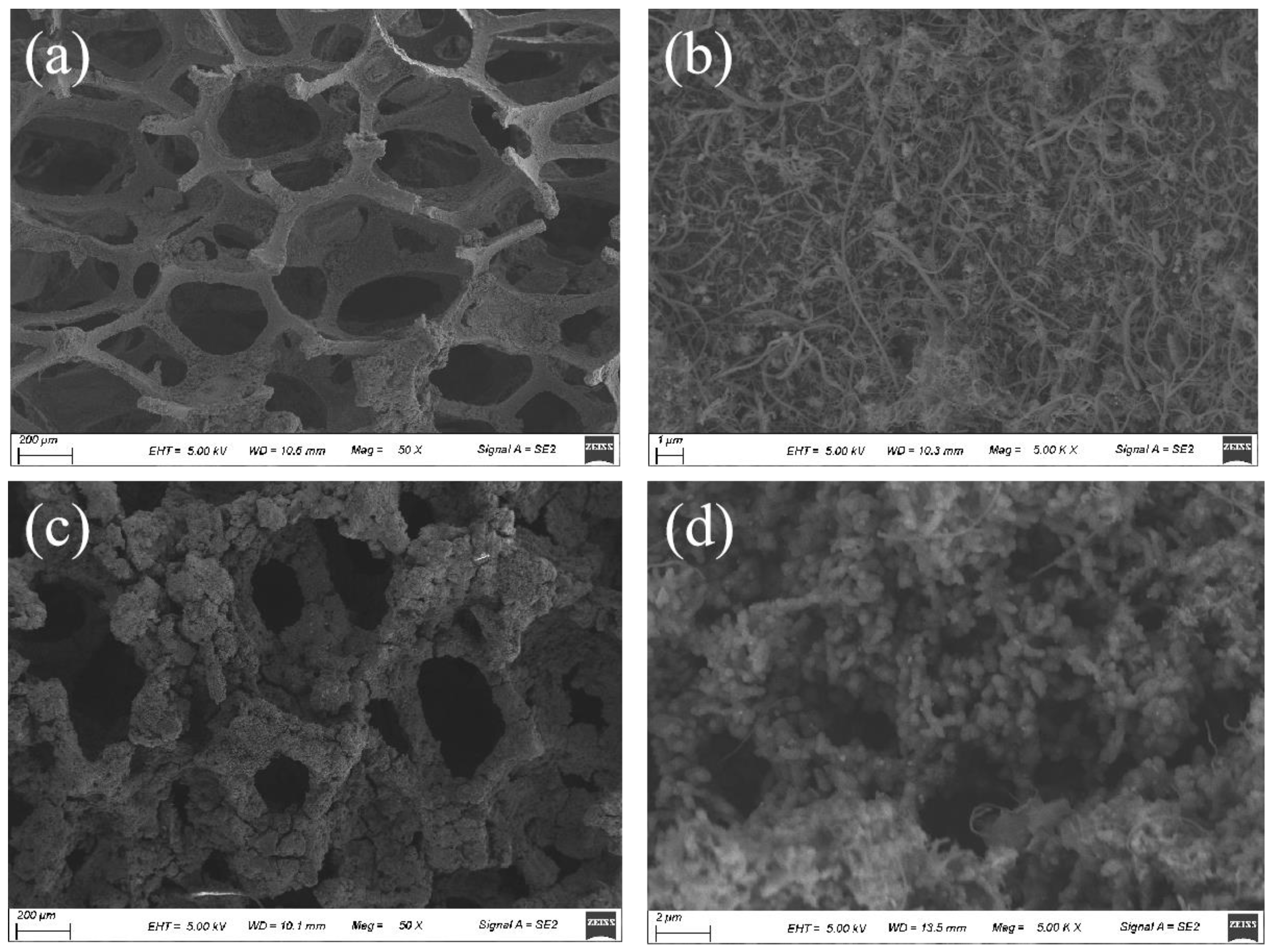 Coatings 14 00152 g001