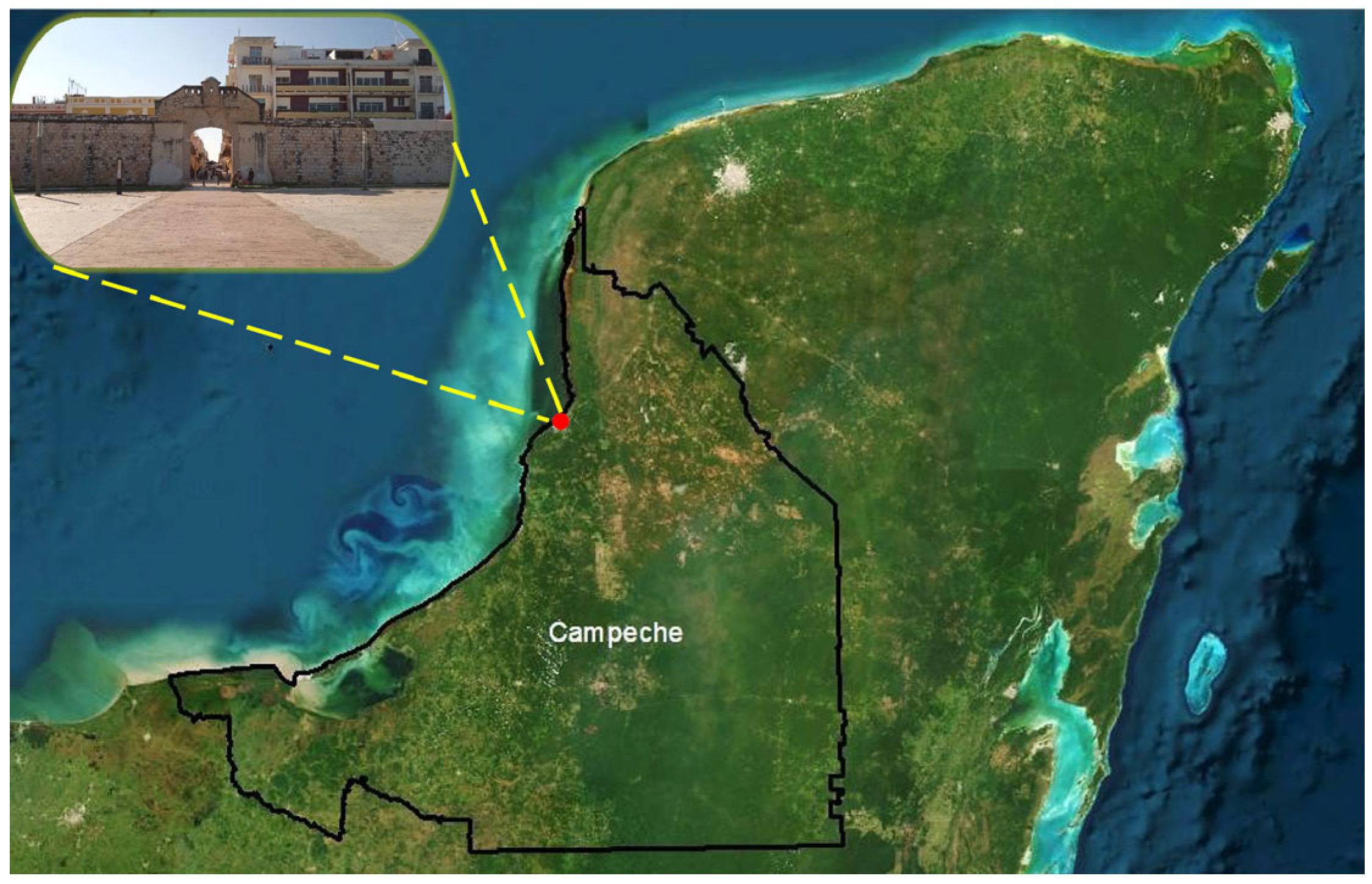 Coatings 14 00154 g001