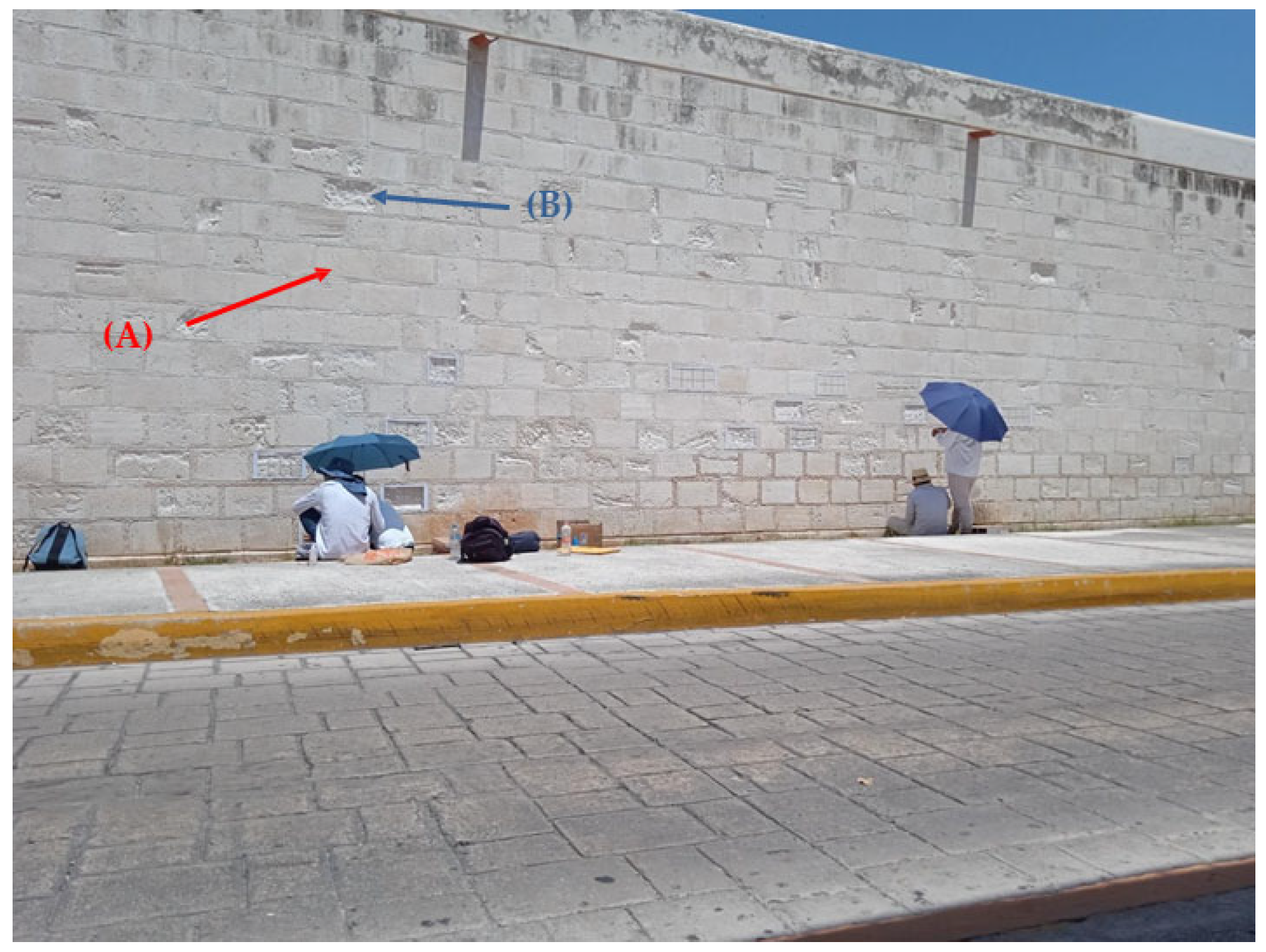 Coatings 14 00154 g002