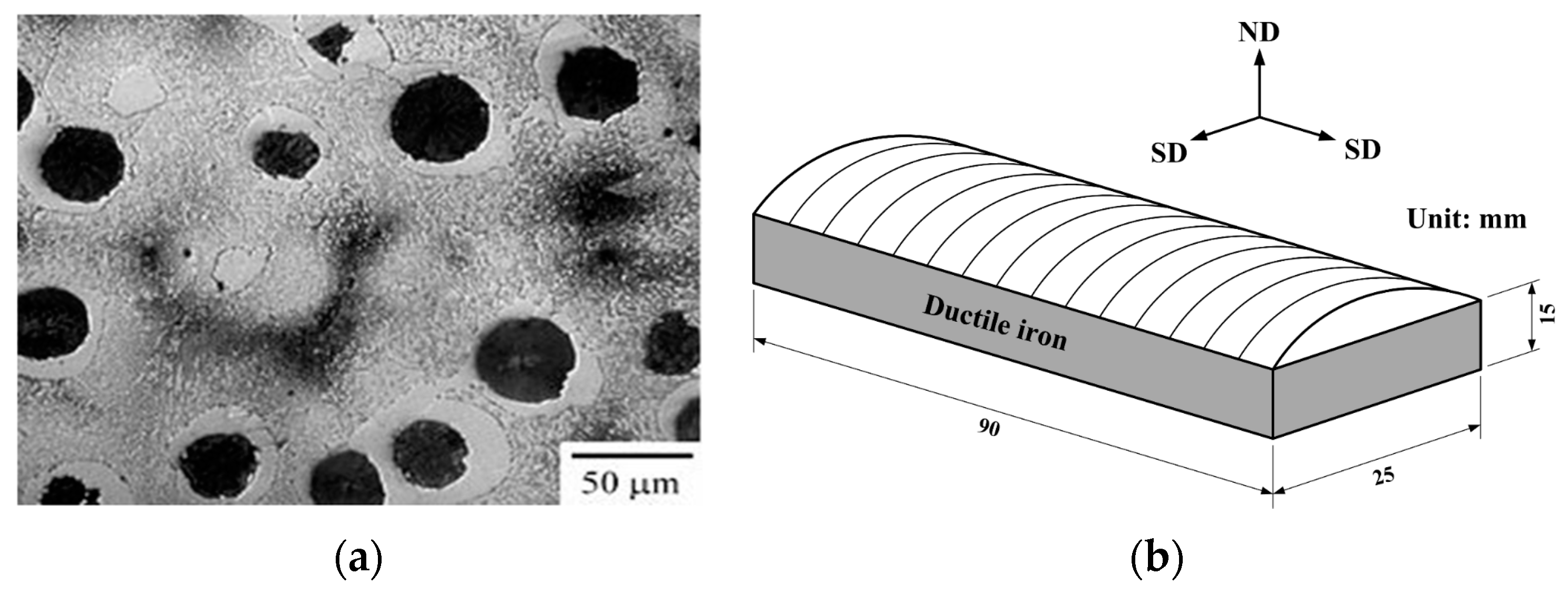 Coatings 14 00167 g001