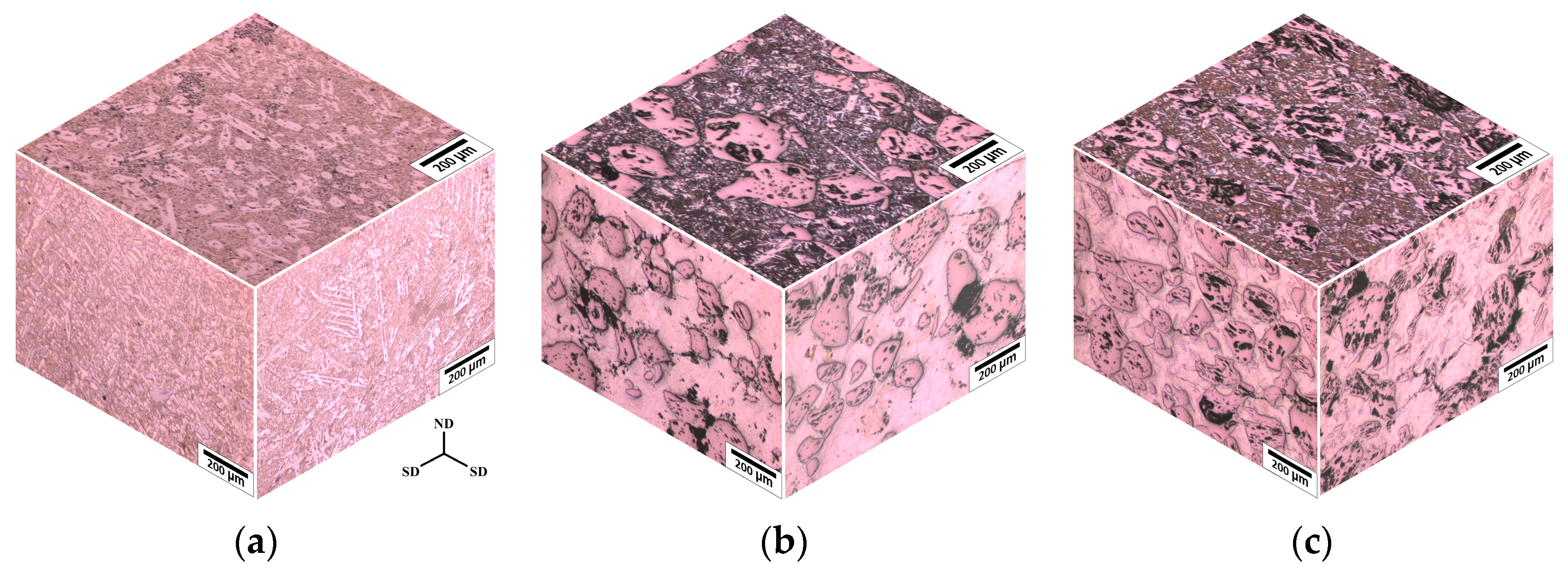 Coatings 14 00167 g003