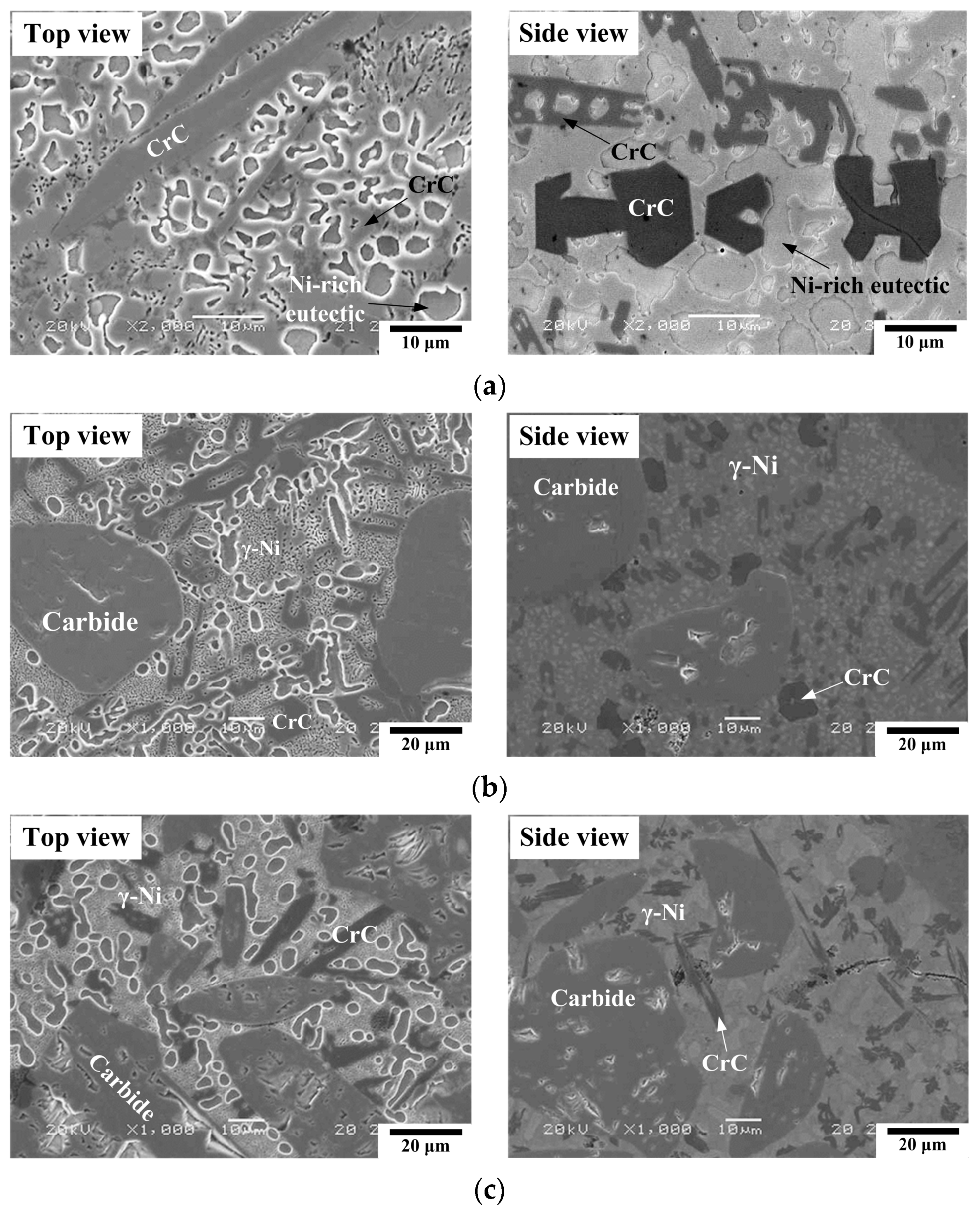 Coatings 14 00167 g004